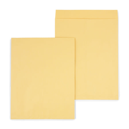 18X23 JUMBO ENVELOPE 25 CT