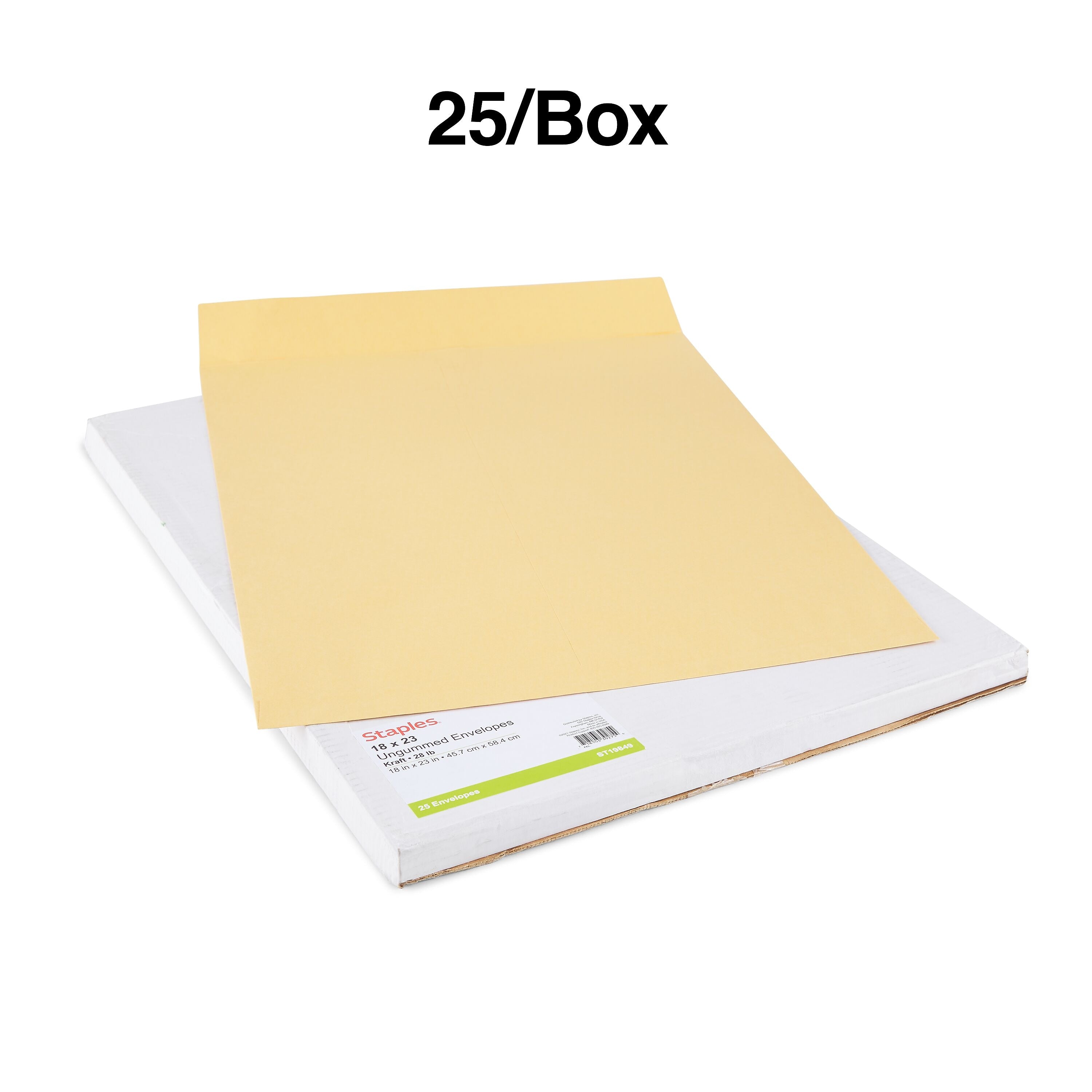 18X23 JUMBO ENVELOPE 25 CT