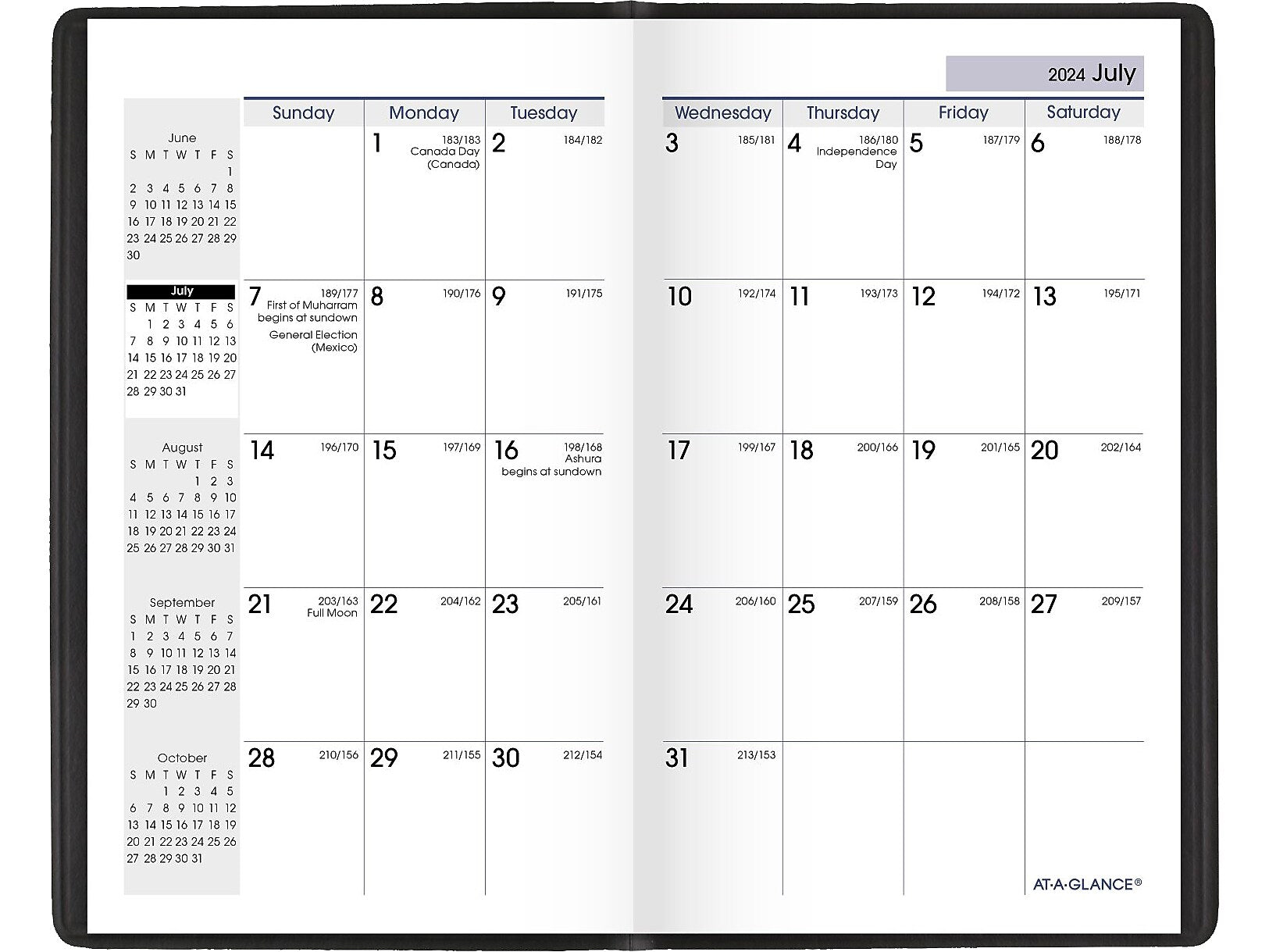 2024-2025 AT-A-GLANCE DayMinder 3.5