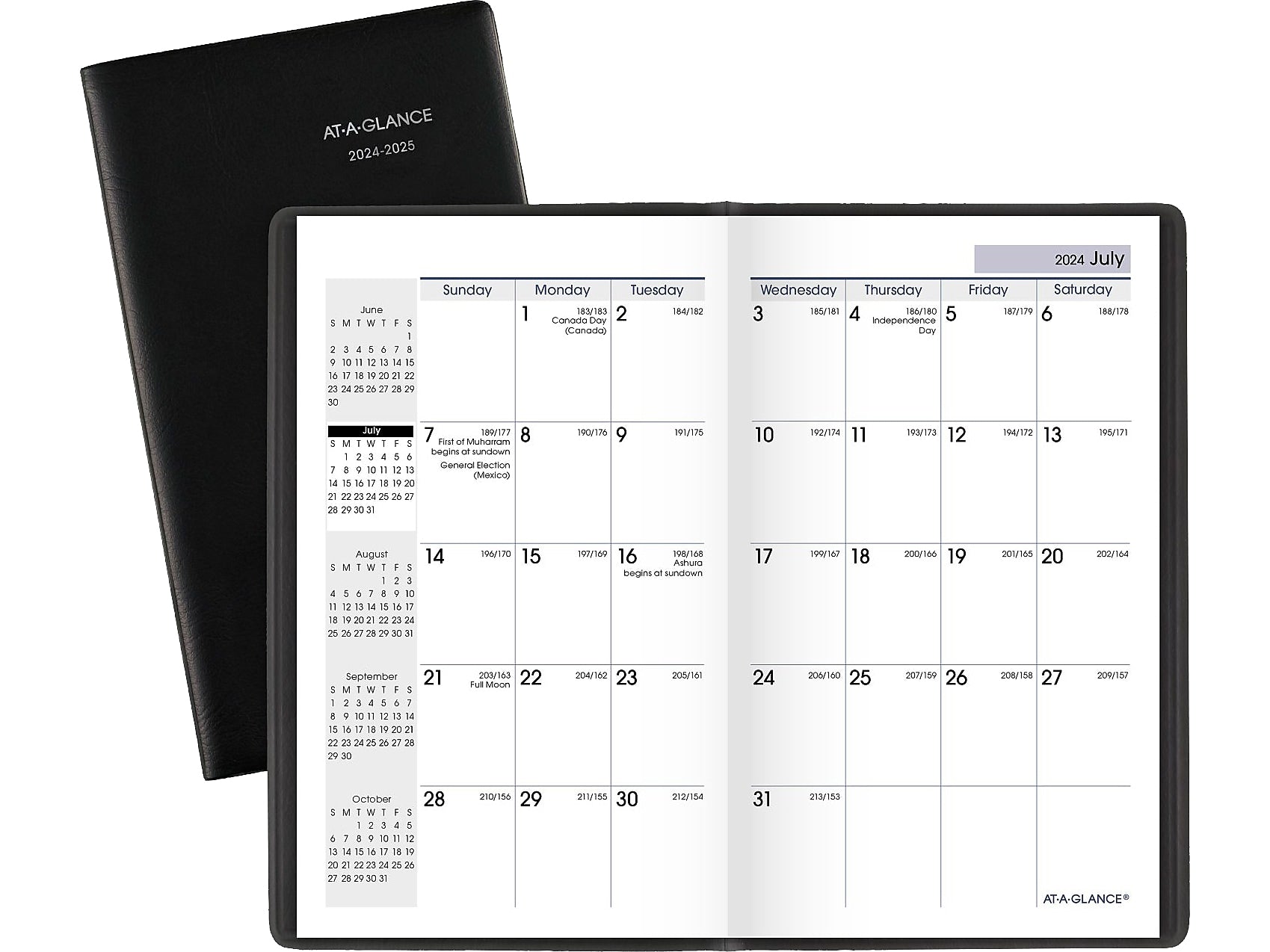 2024-2025 AT-A-GLANCE DayMinder 3.5