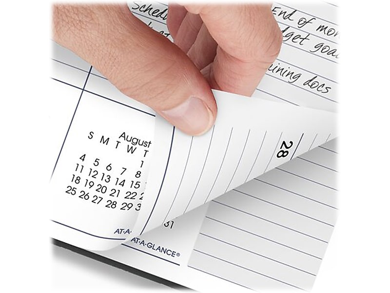 2024-2025 AT-A-GLANCE DayMinder 8.5