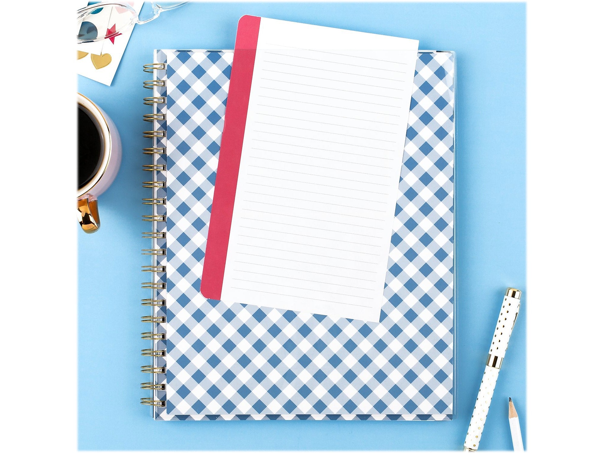 2024-2025 AT-A-GLANCE Simplified by Emily Ley Gingham 8.5