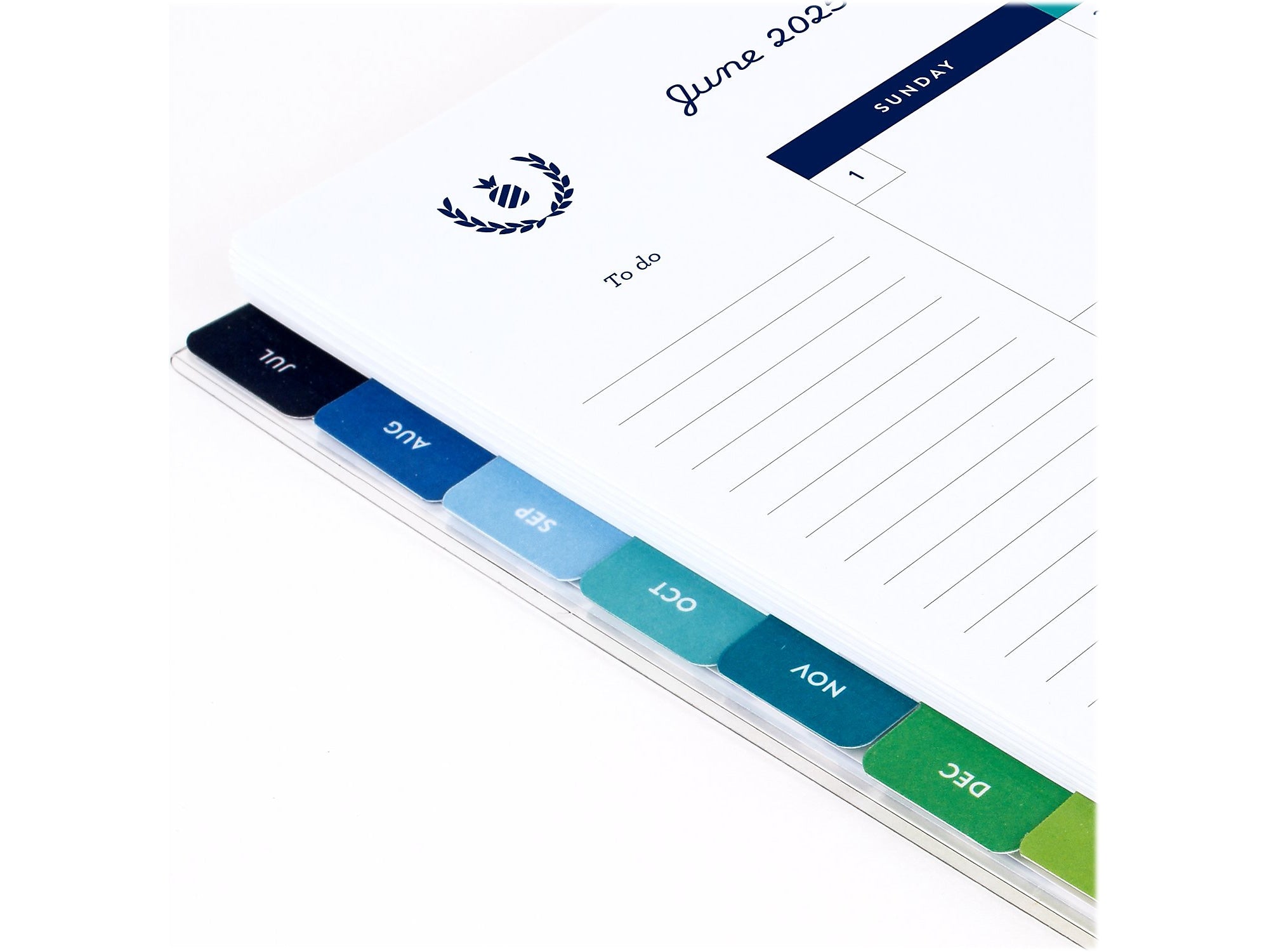 2024-2025 AT-A-GLANCE Simplified by Emily Ley Gingham 8.5