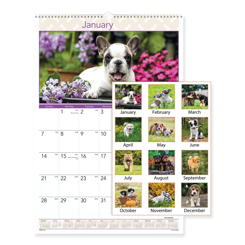 2024 AT-A-GLANCE 15.5 x 22.75 Puppies Monthly Wall Calendar, Puppies Photo, White/Multicolor Sheets