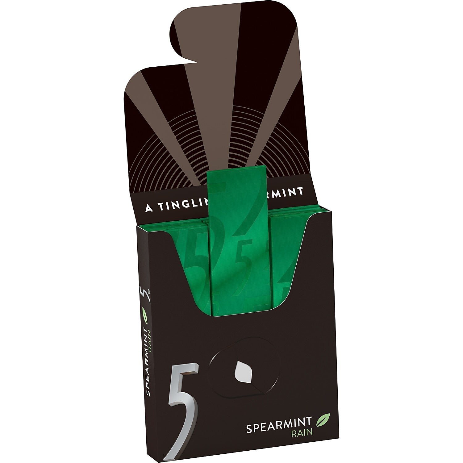 5 Gum Sugar Free Gum, Spearmint Rain, 10/Box