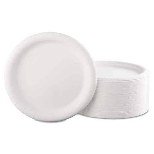 Premium Coated Paper Plates, 9