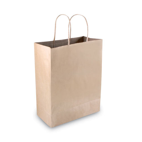 Premium Shopping Bag, Natural Twisted-paper Handles, 10