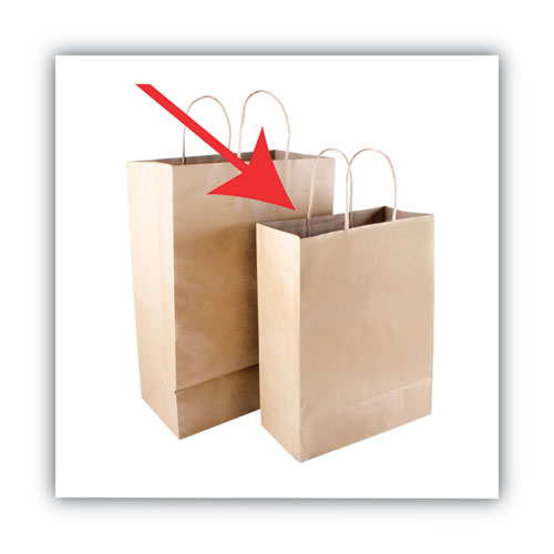 Premium Shopping Bag, Natural Twisted-paper Handles, 10
