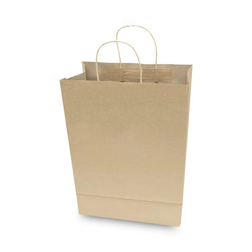 Premium Shopping Bag, Natural Twisted-paper Handles, 10