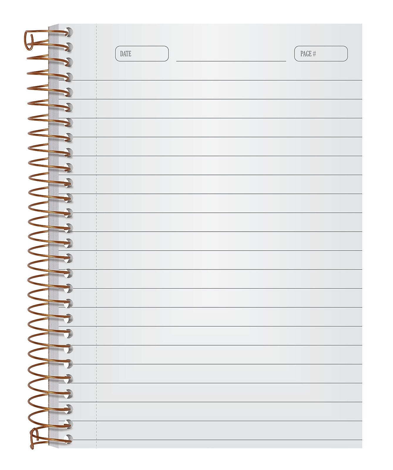 Ampad 1-Subject Professional Notebooks, 5