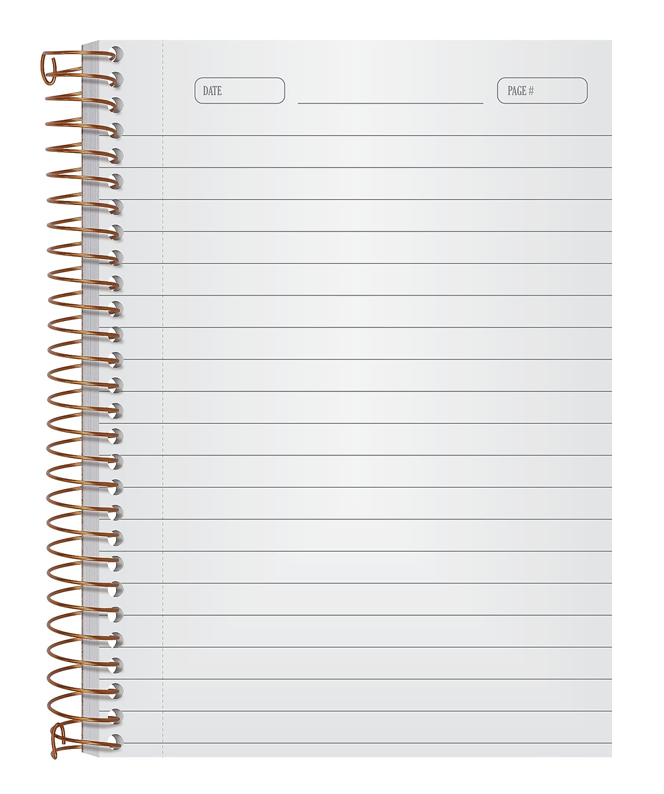 Ampad 1-Subject Professional Notebooks, 5