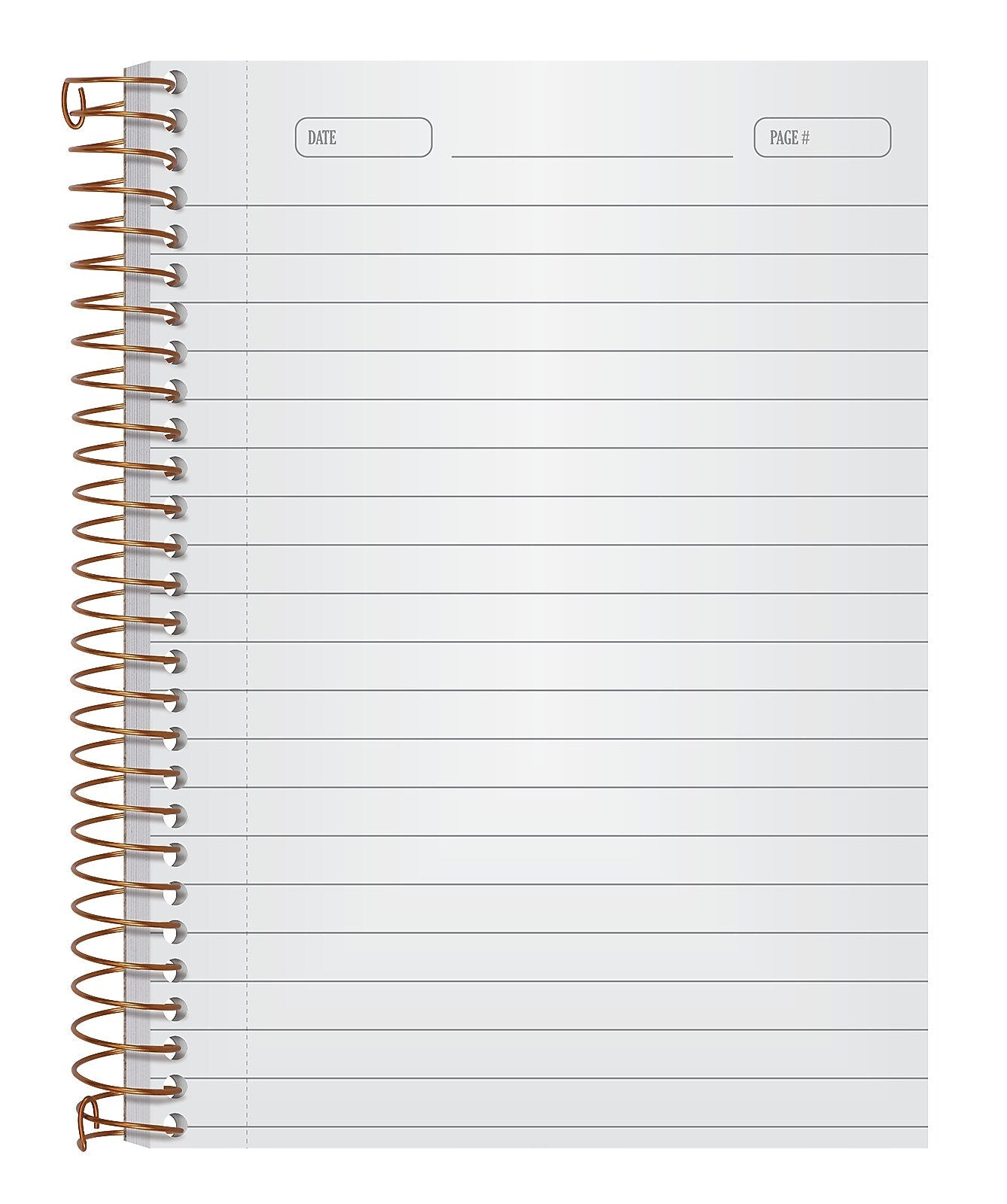 Ampad 1-Subject Professional Notebooks, 5