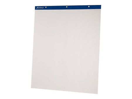 Ampad Easel Pad, 27" x 34", 50 Sheets/Pad, 2 Pads/Carton