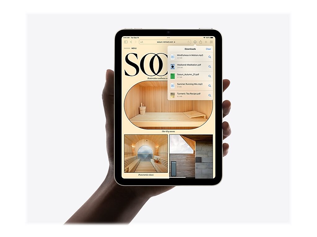 Apple iPad mini 8.3