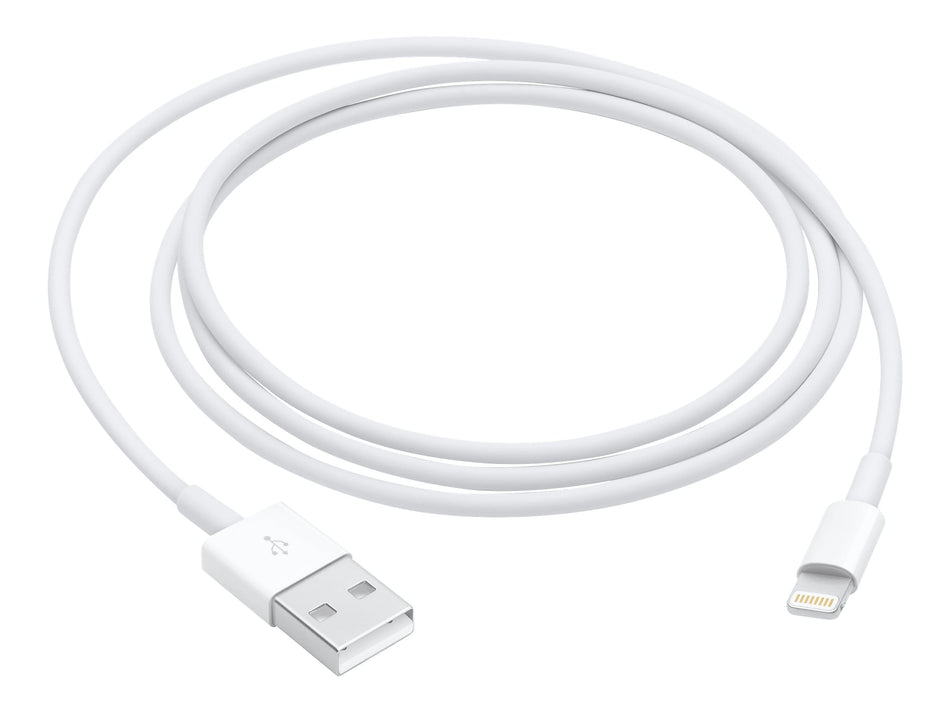 Apple Lightning USB Cable for iPhone/iPad/iPod Touch, 3.3 ft., White