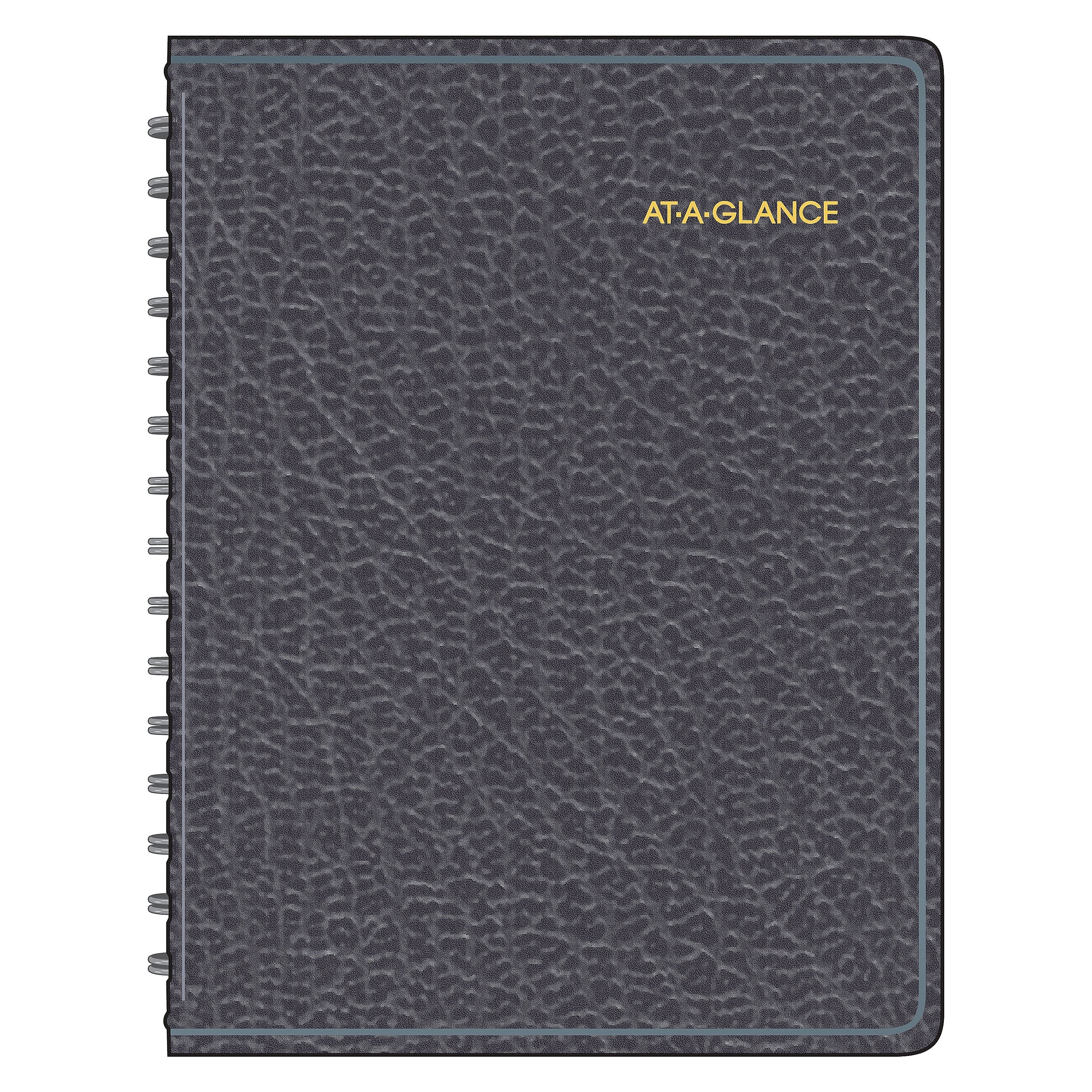 AT-A-GLANCE Four-Person Group 8.5" x 10.875" Daily Appointment Book, Black
