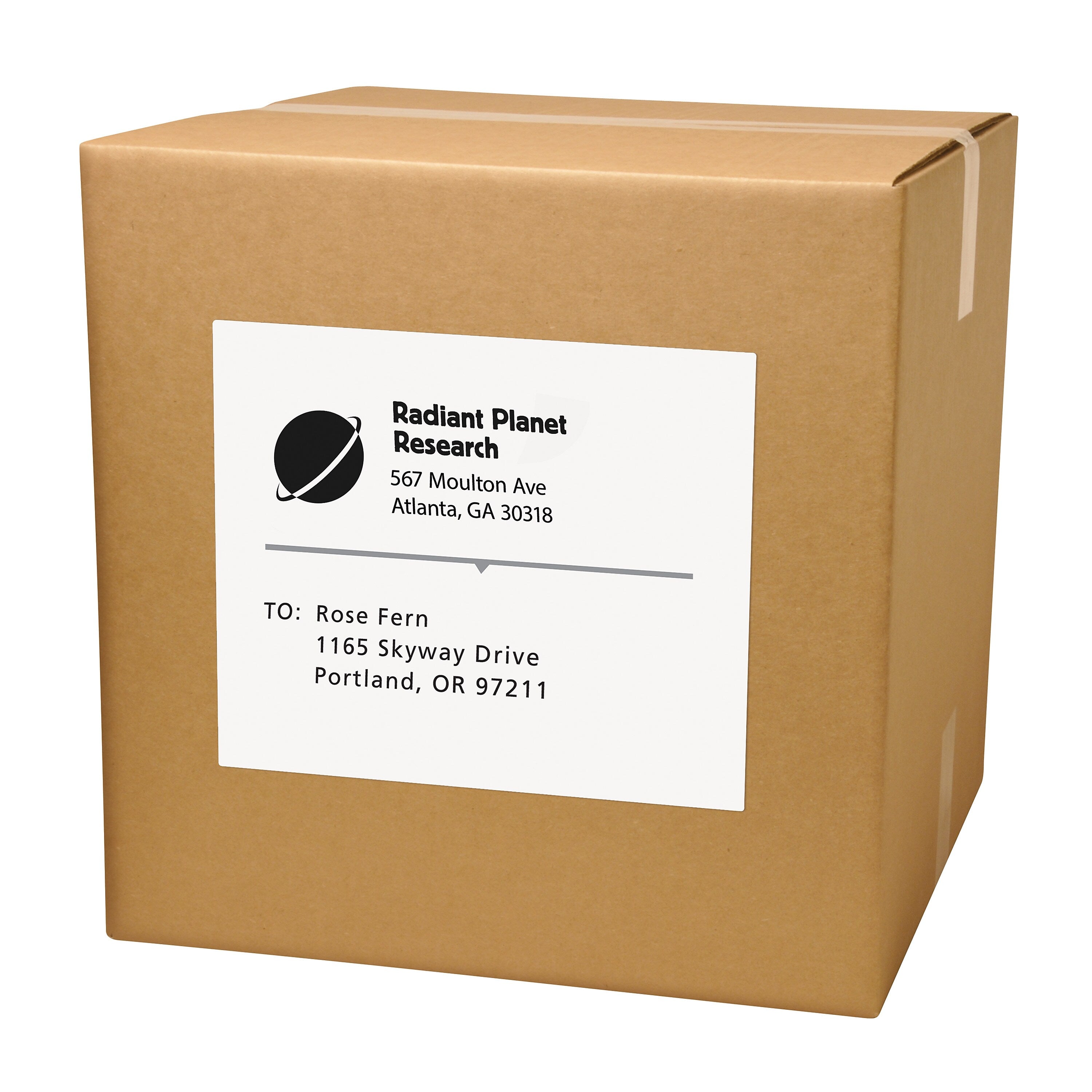 Avery Copier Shipping Labels, 8-1/2