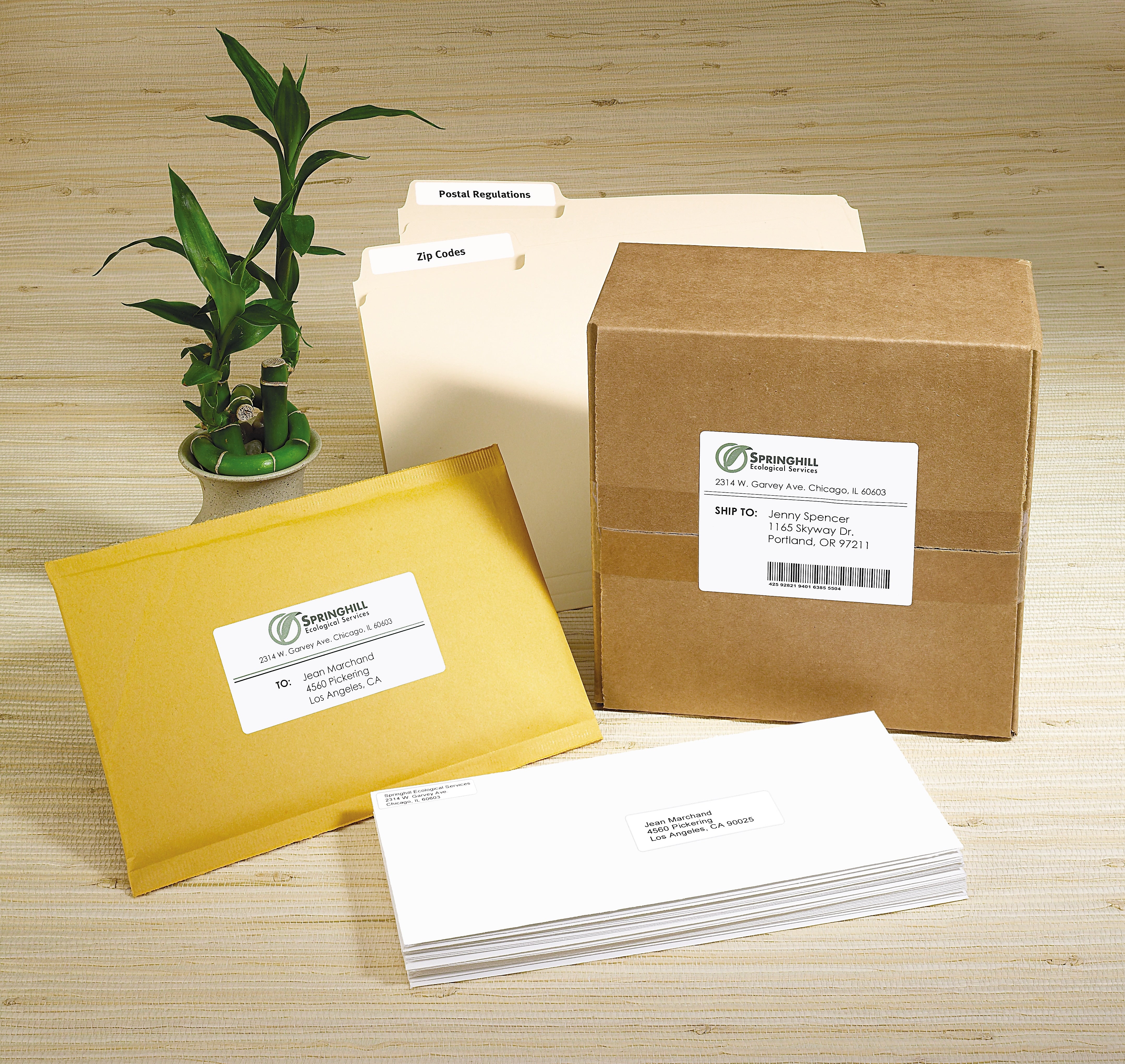 Avery EcoFriendly Laser/Inkjet Address Labels, 1