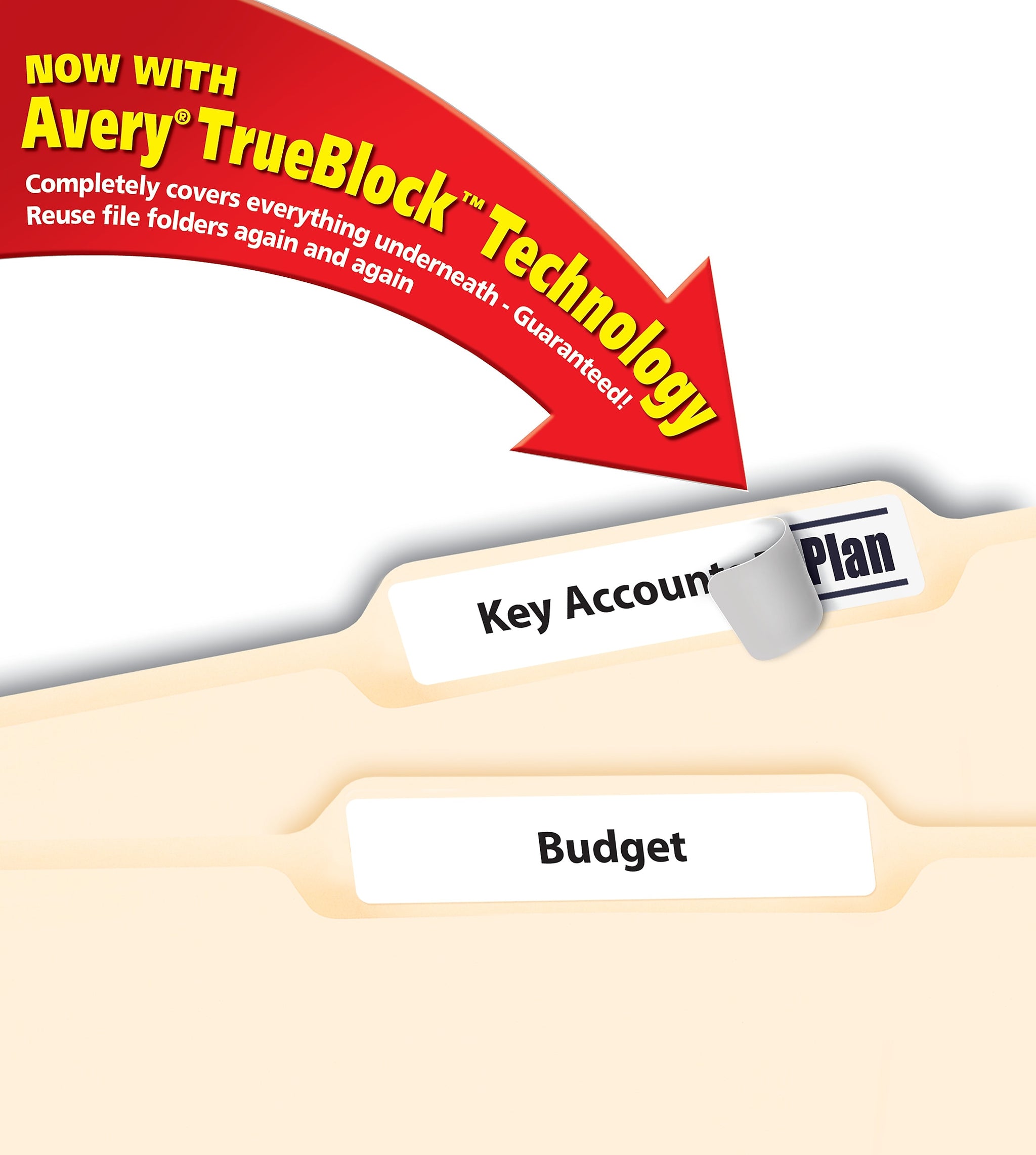 Avery Laser/Inkjet File Folder Labels, 2/3