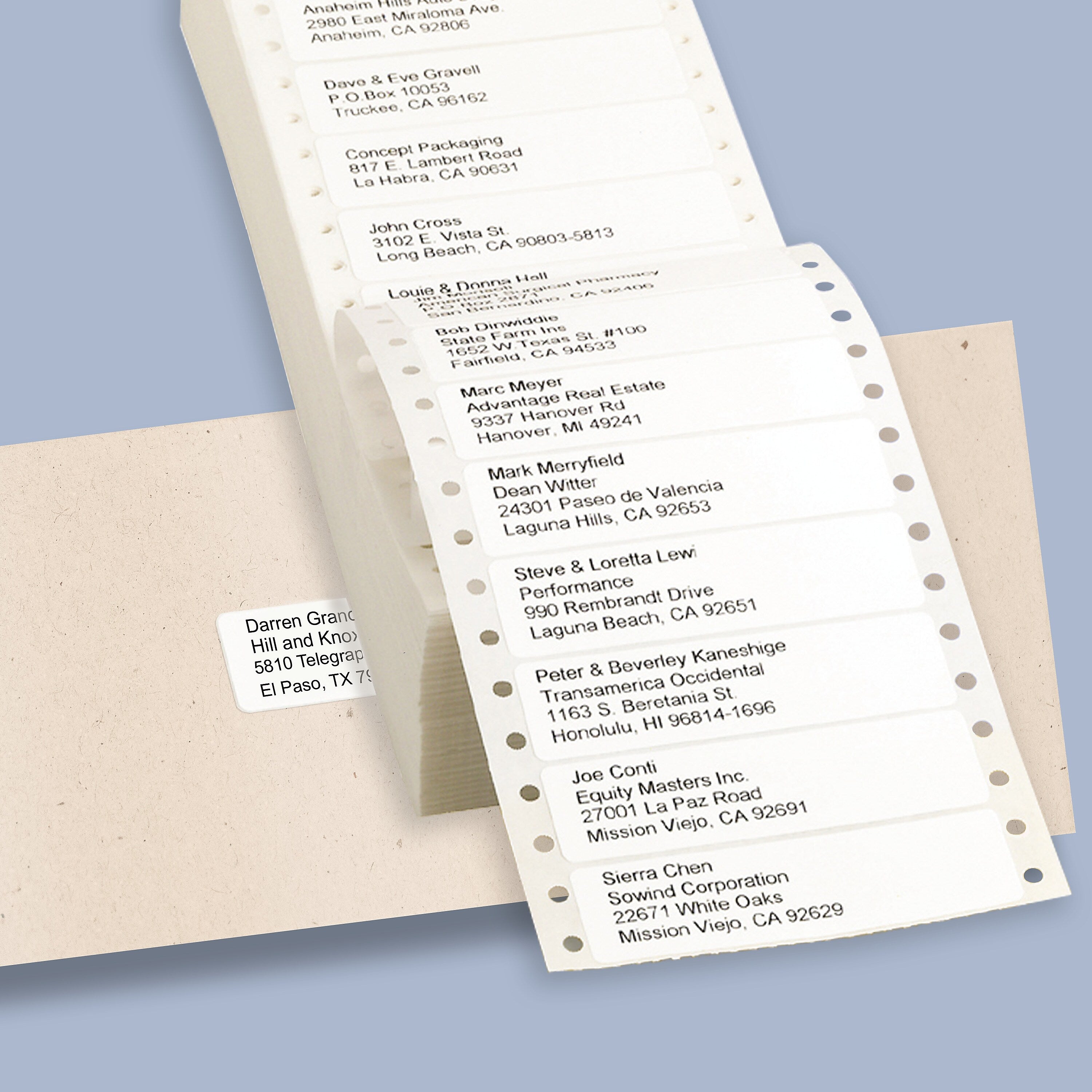 Avery Pin-Fed Continuous Form Computer Labels, 15/16