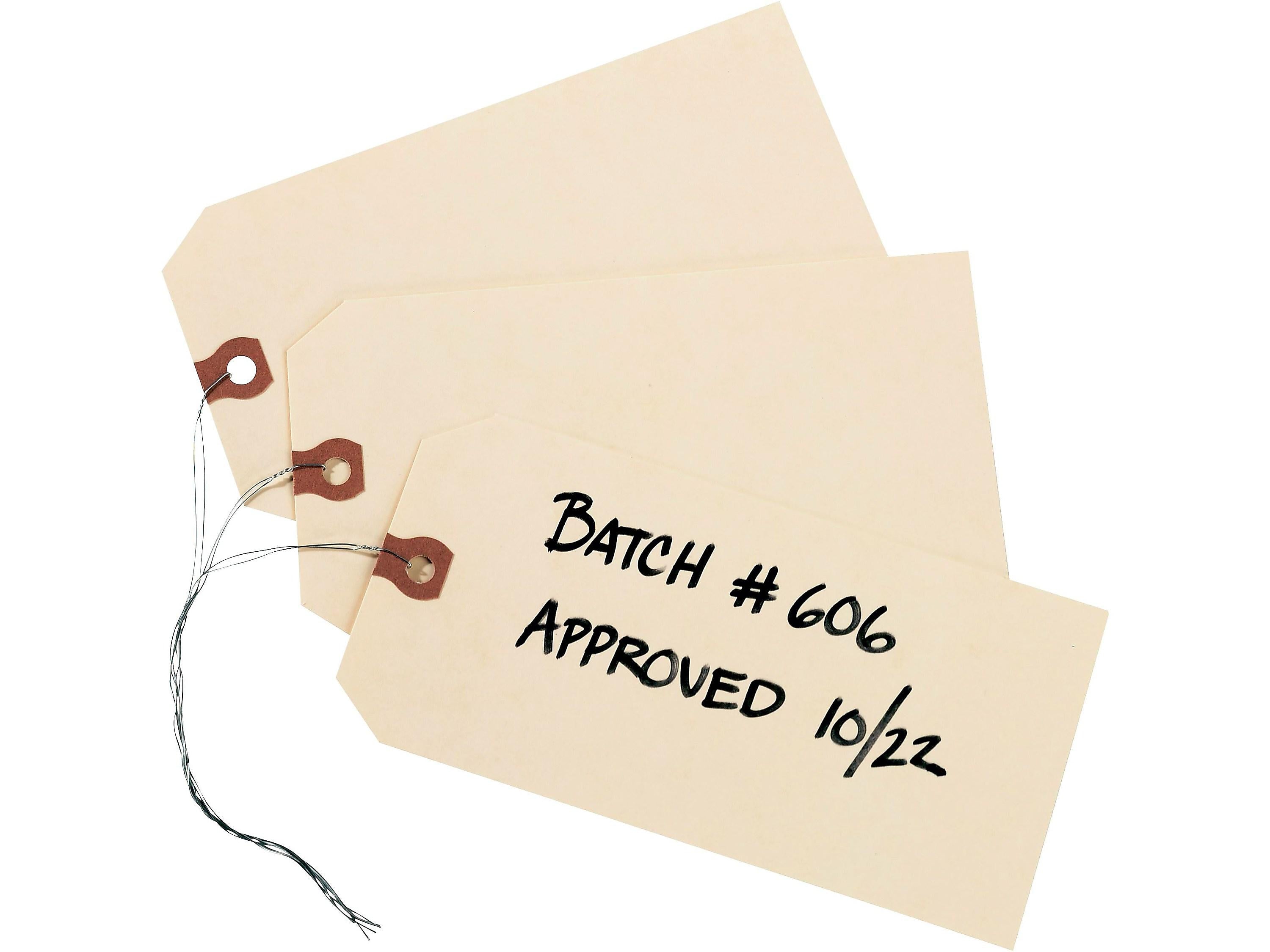Avery Shipping Tags with Wire, 6-1/4