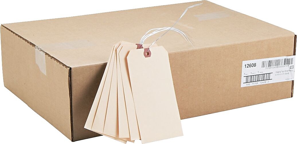 Avery Shipping Tags with Wire, 6-1/4