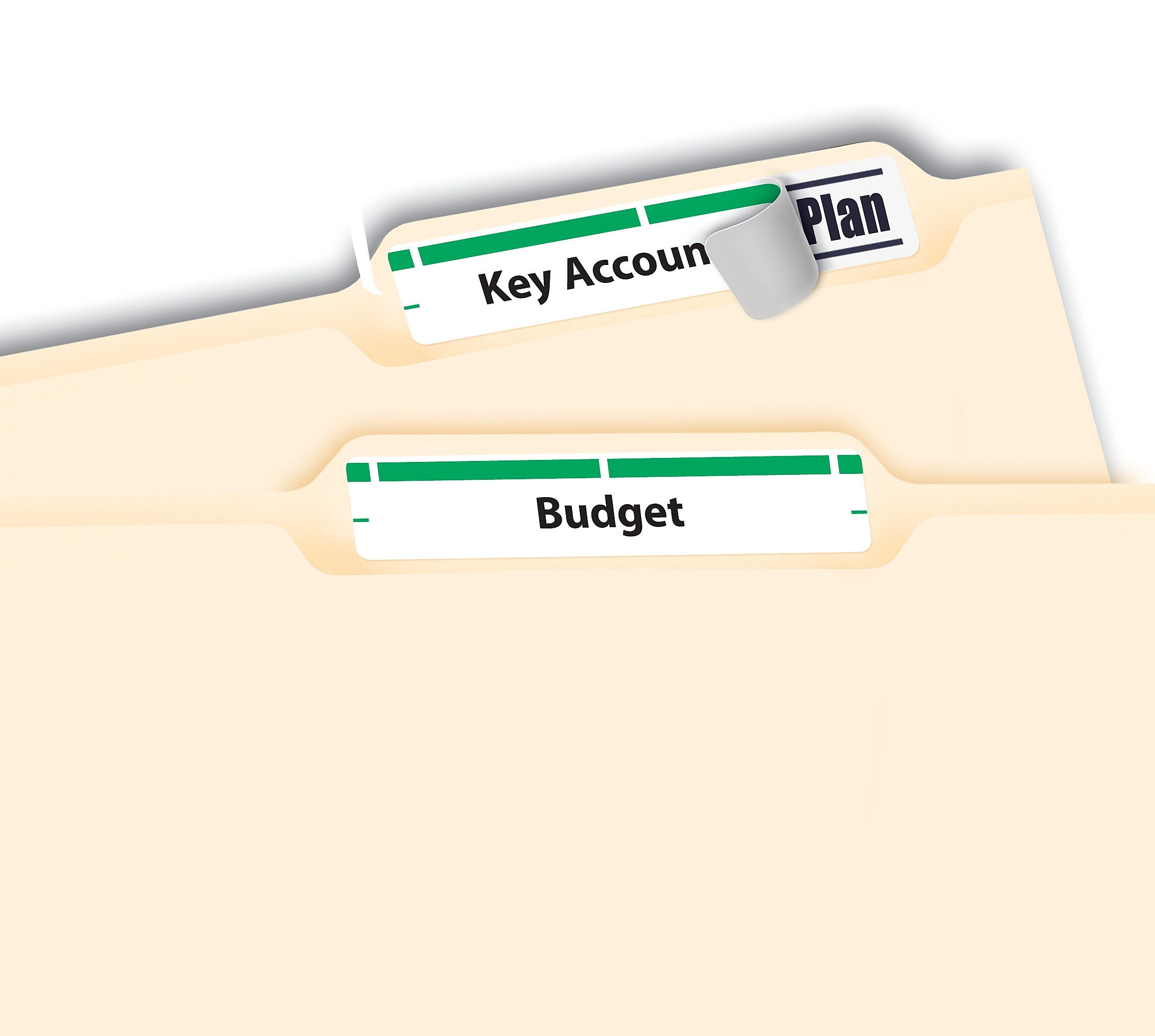 Avery TrueBlock Laser/Inkjet File Folder Labels, 2/3
