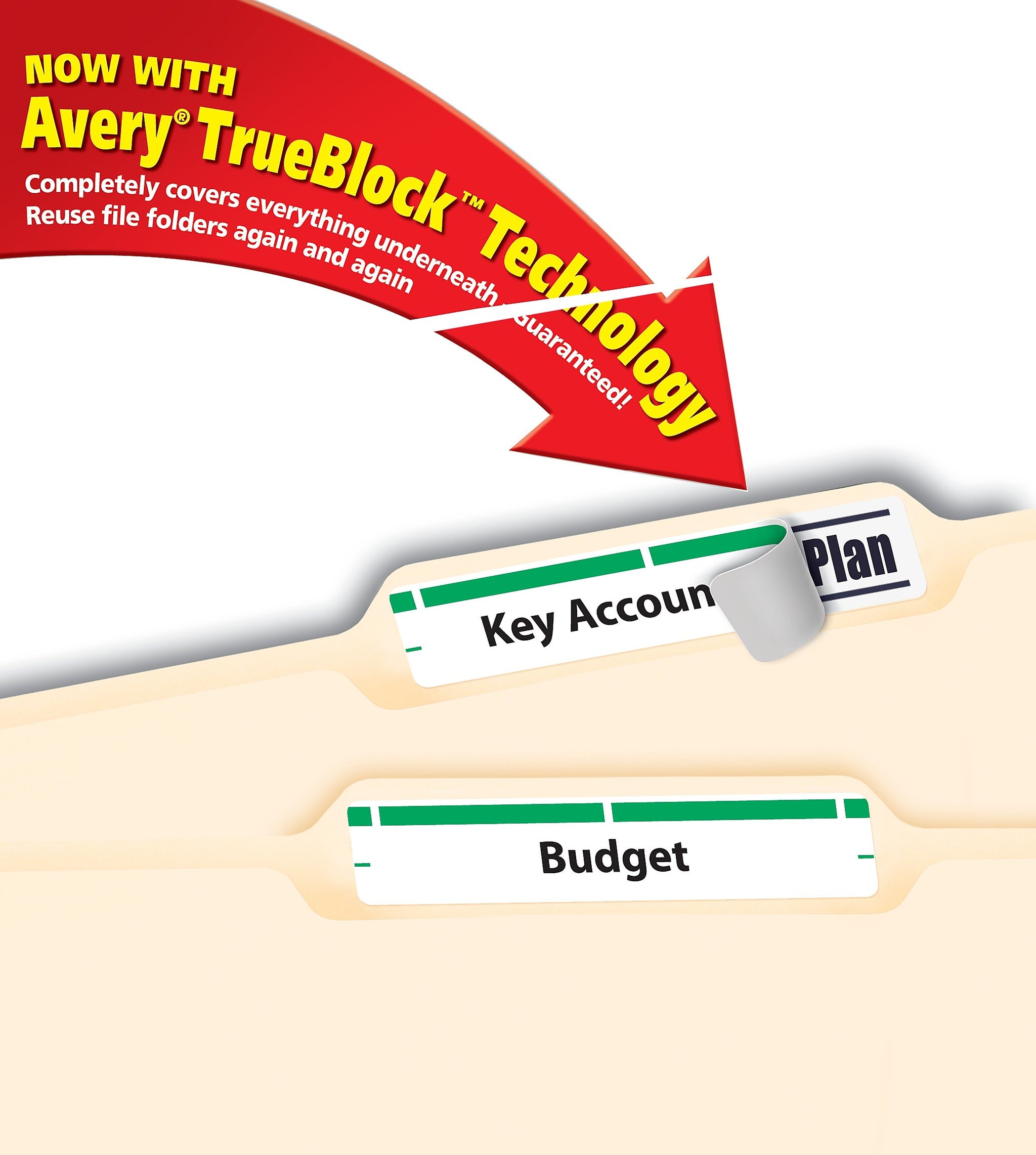 Avery TrueBlock Laser/Inkjet File Folder Labels, 2/3