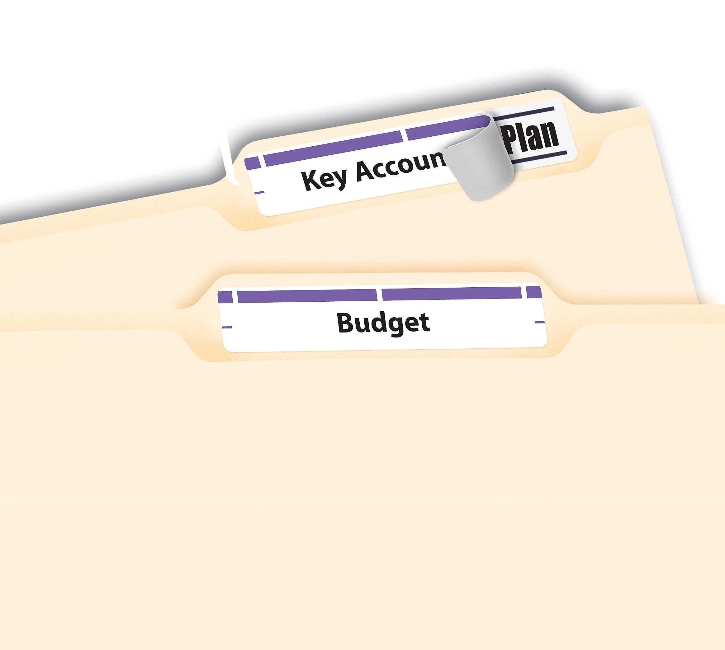 Avery TrueBlock Laser/Inkjet File Folder Labels, 2/3