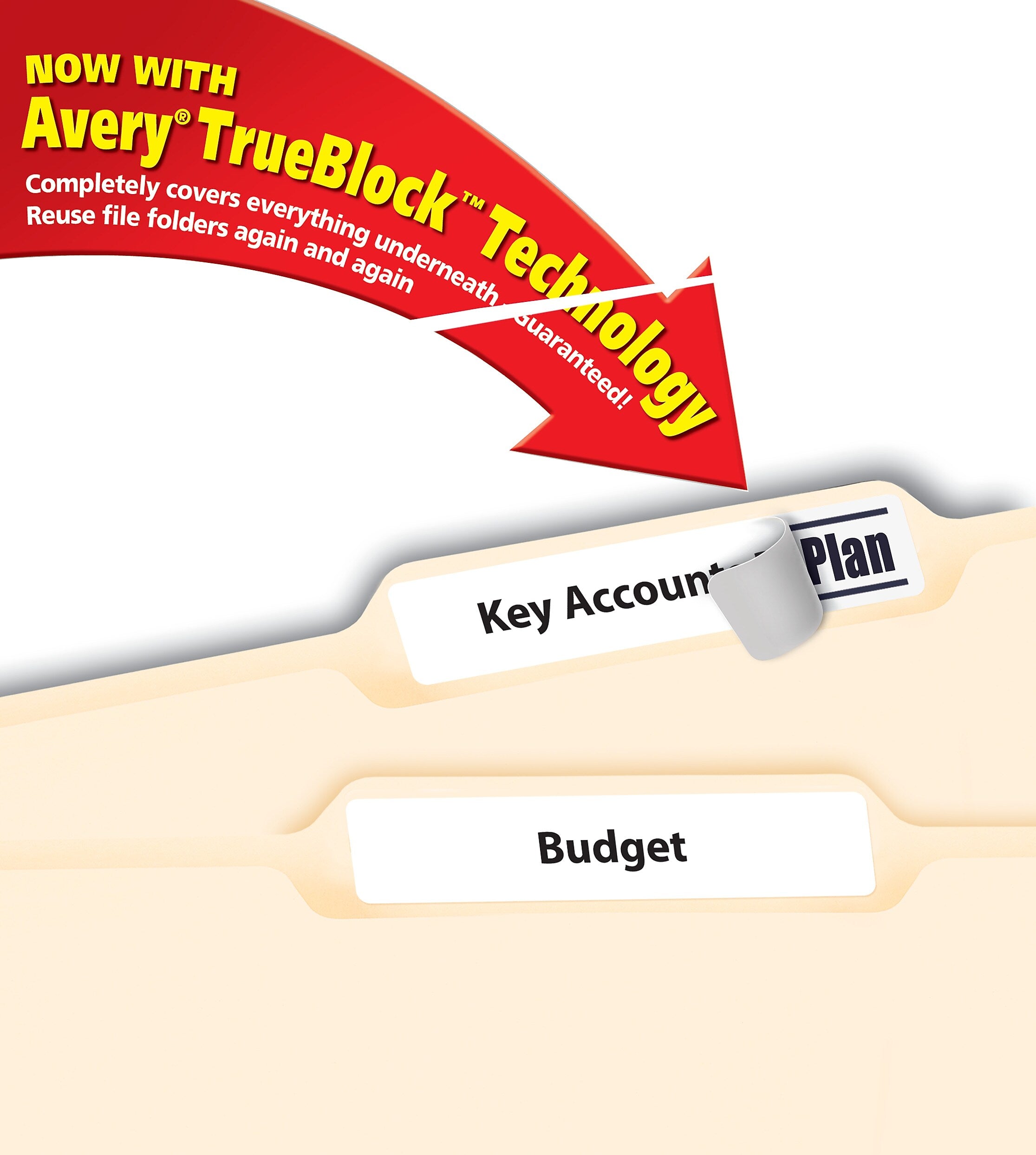 Avery TrueBlock Laser/Inkjet File Folder Labels, 2/3