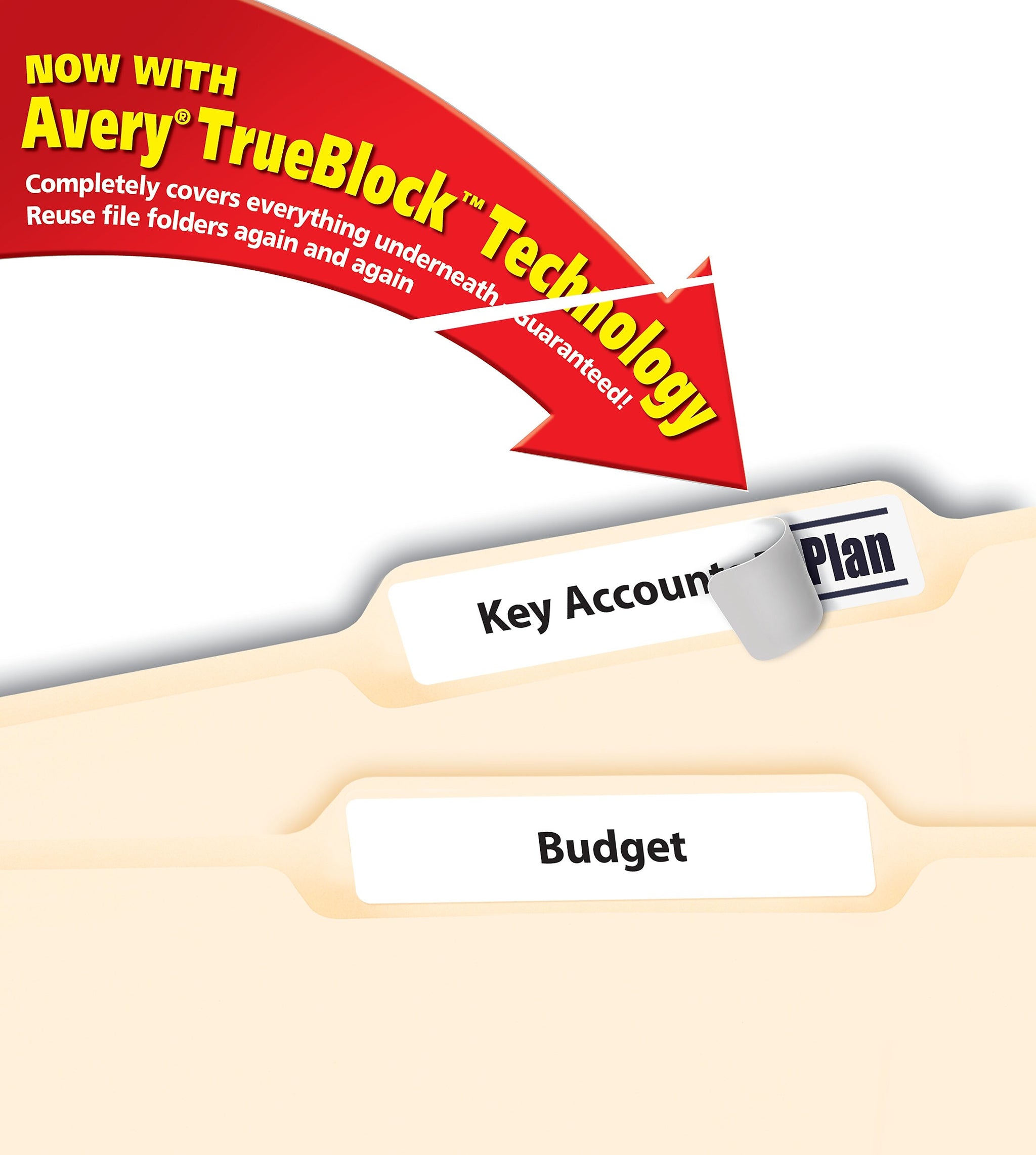 Avery TrueBlock Laser/Inkjet File Folder Labels, 2/3