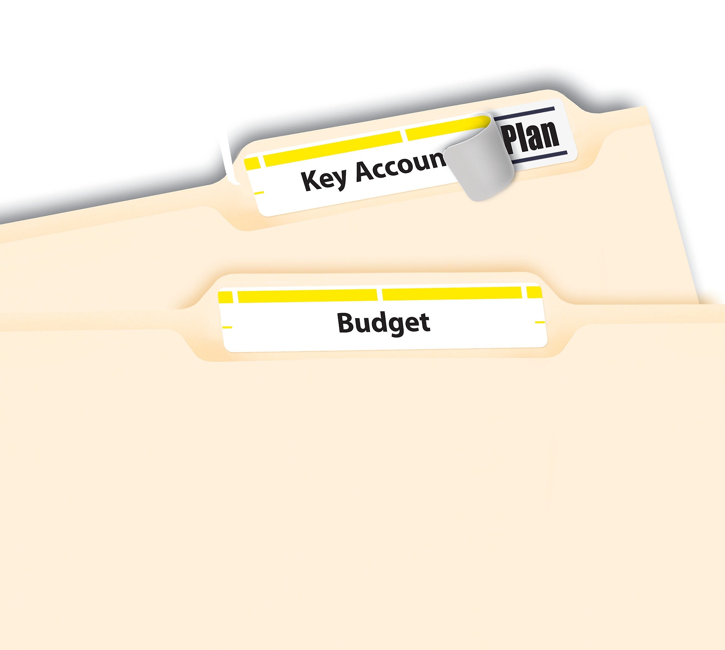 Avery TrueBlock Laser/Inkjet File Folder Labels, 2/3