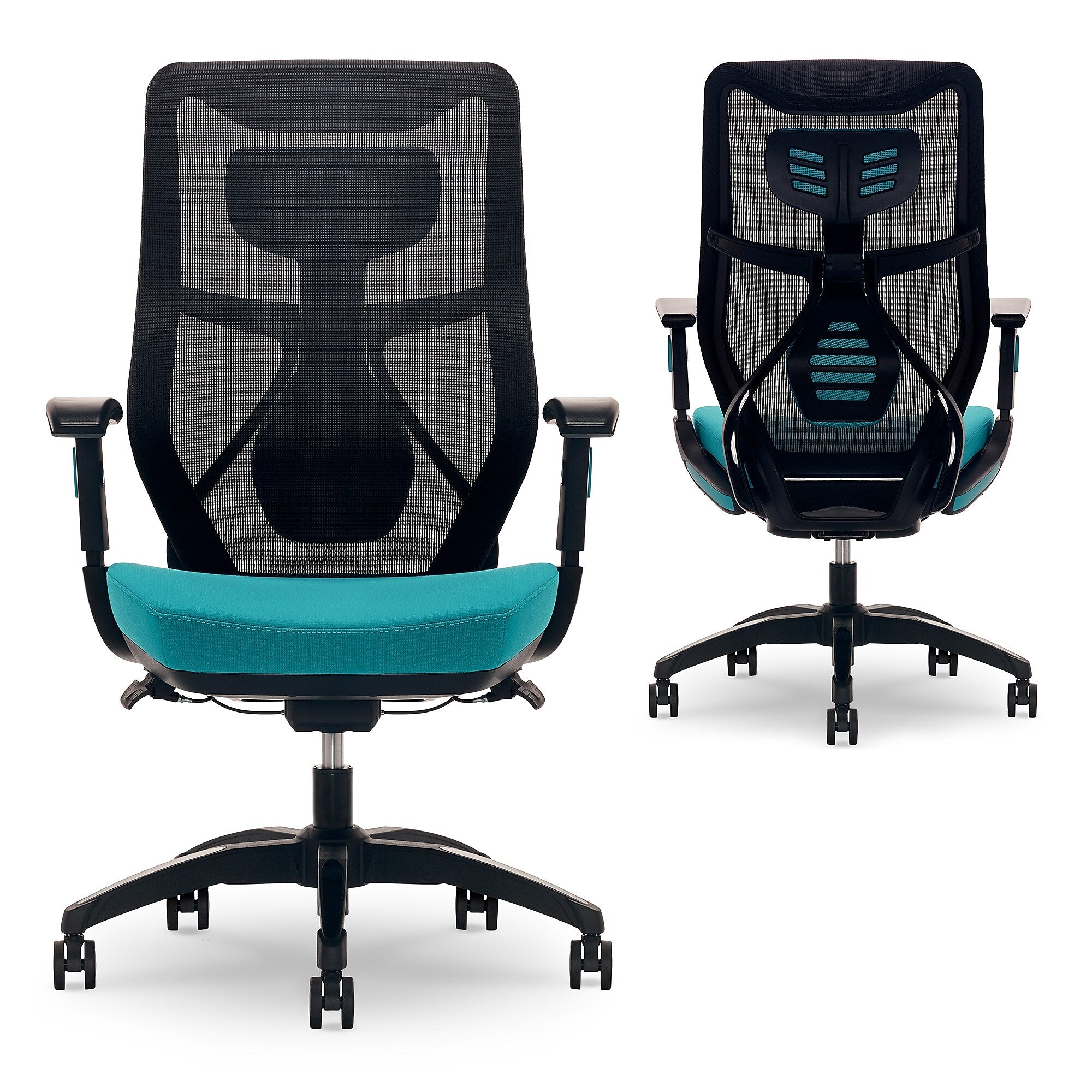Beautyrest Duo-EX Ergonomic Mesh Swivel Computer Chair, Teal