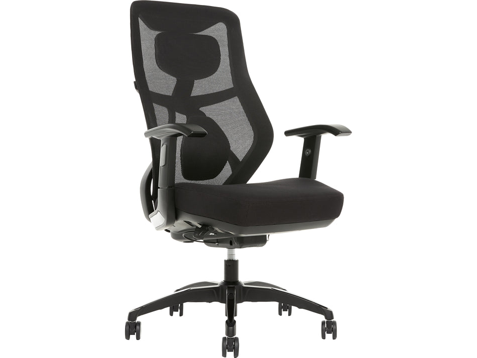 Beautyrest Duo-EX Ergonomic Mesh Swivel Task Chair, Black/Gray