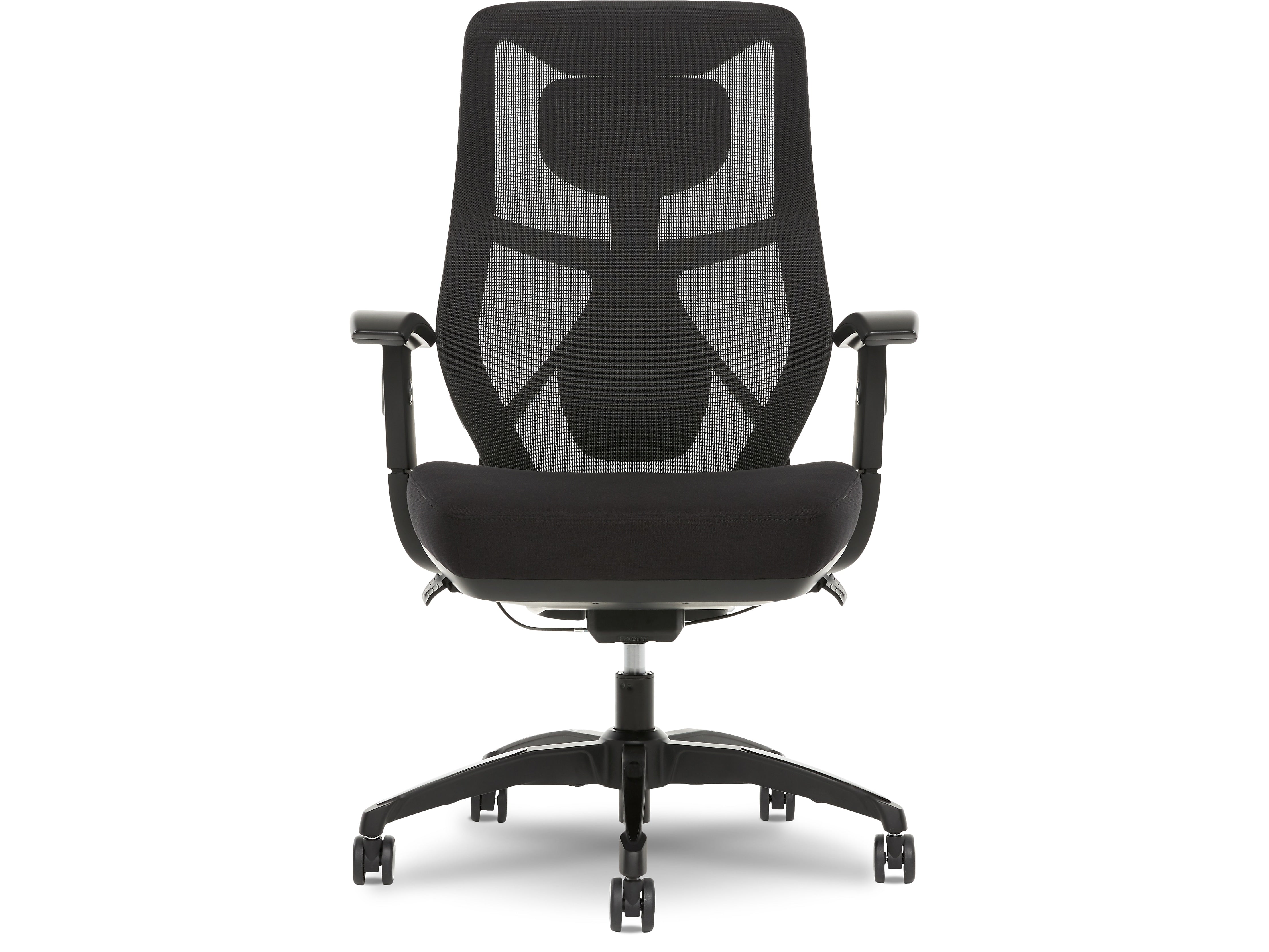Beautyrest Duo-EX Ergonomic Mesh Swivel Task Chair, Black/Gray