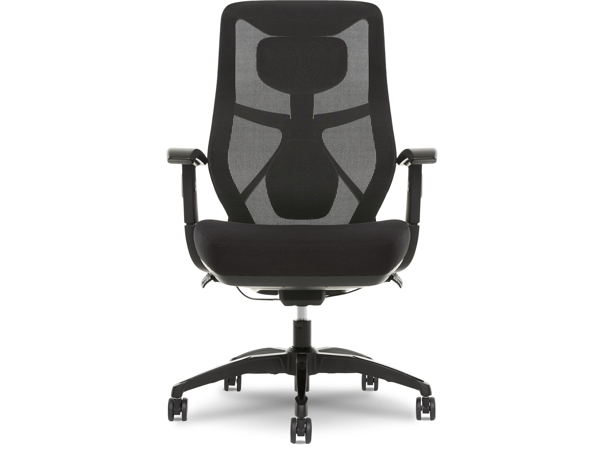 Beautyrest Duo-EX Ergonomic Mesh Swivel Task Chair, Black/Gray