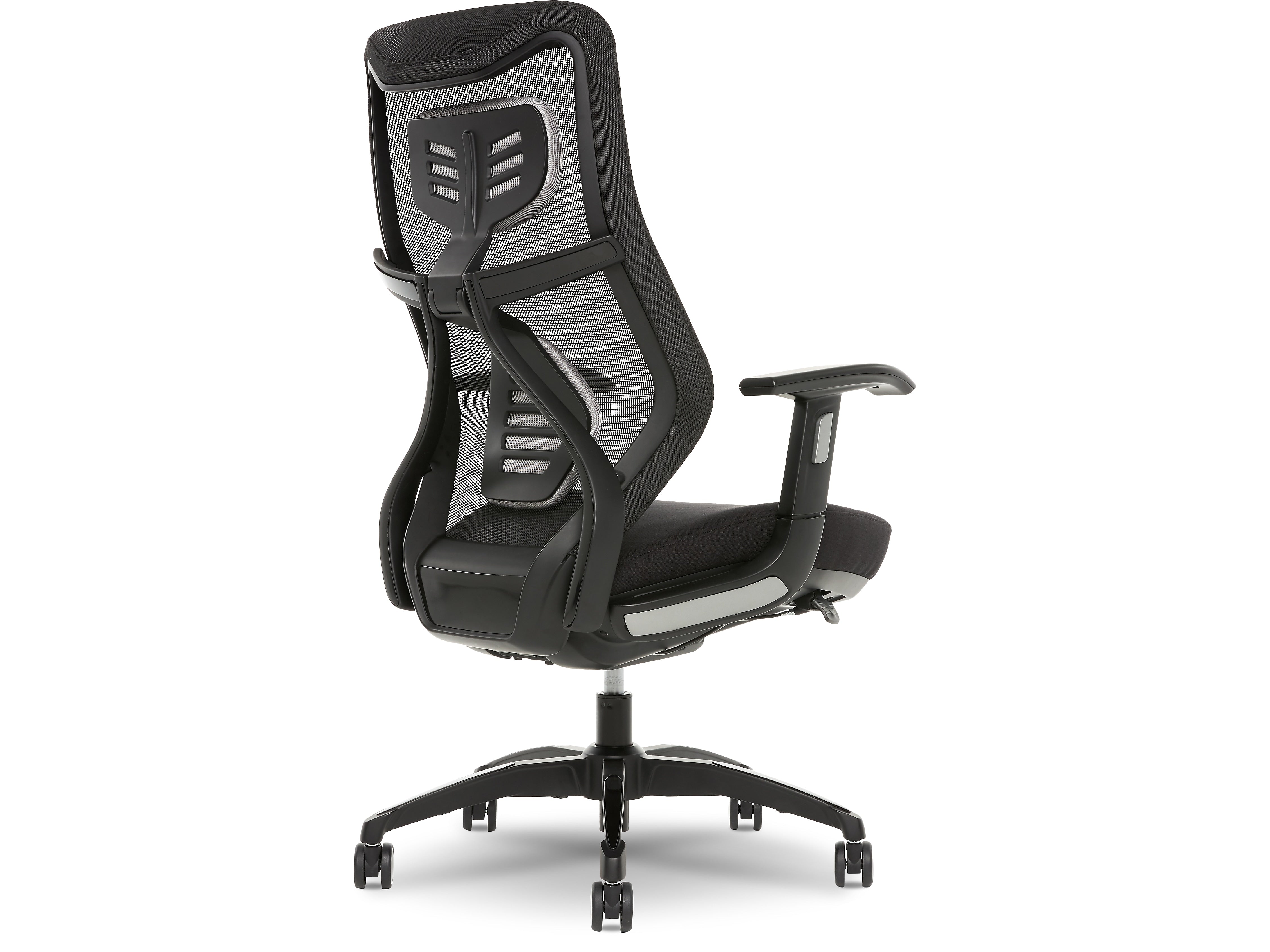 Beautyrest Duo-EX Ergonomic Mesh Swivel Task Chair, Black/Gray