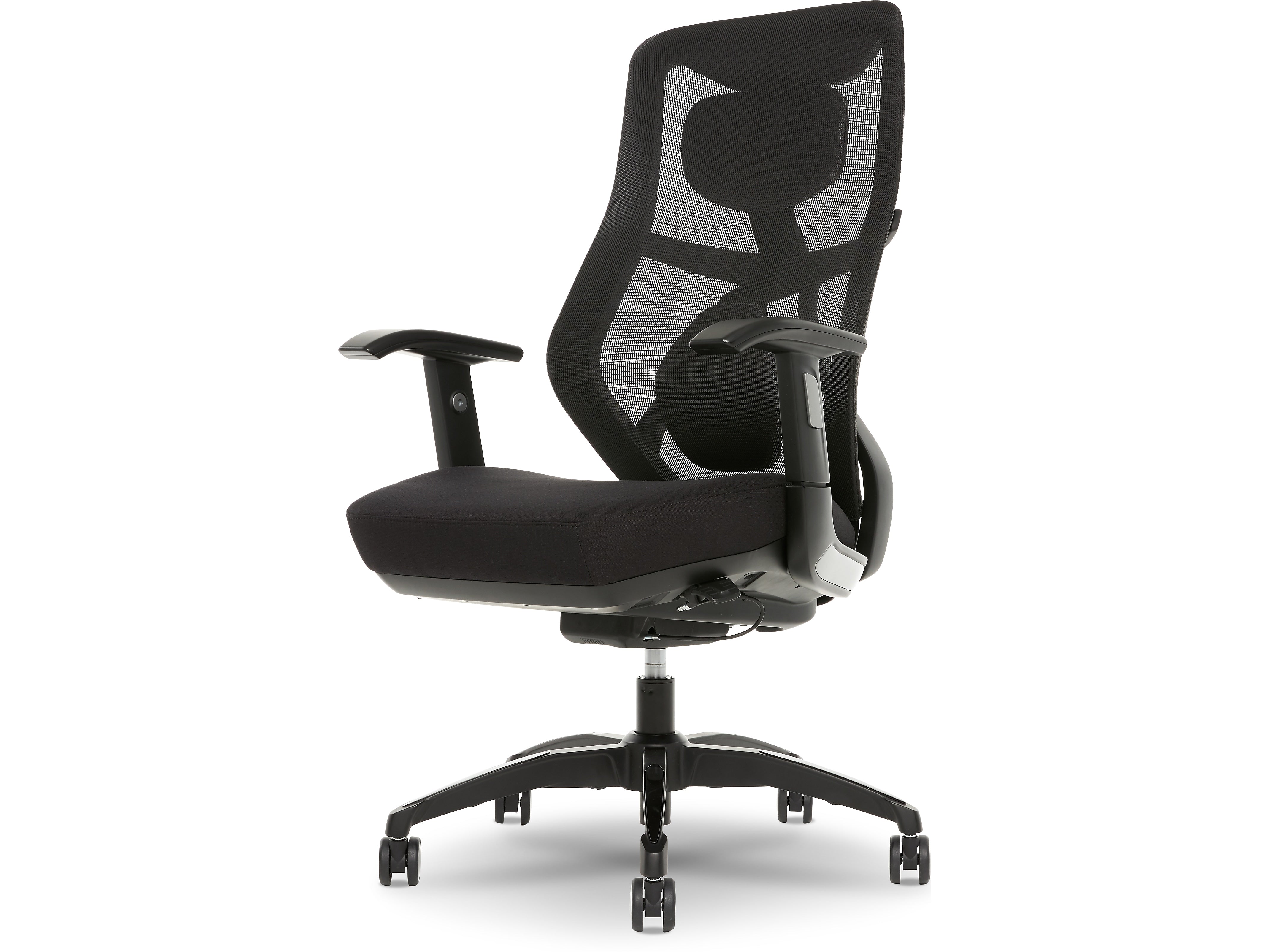 Beautyrest Duo-EX Ergonomic Mesh Swivel Task Chair, Black/Gray