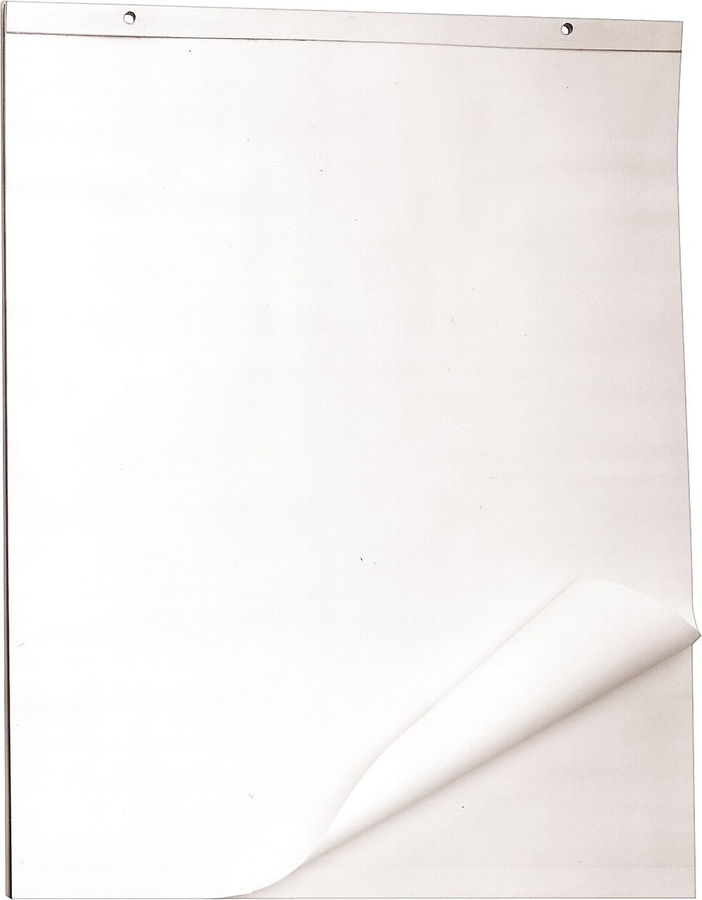 Blind Industries and Services of Maryland Easel Pad, 27