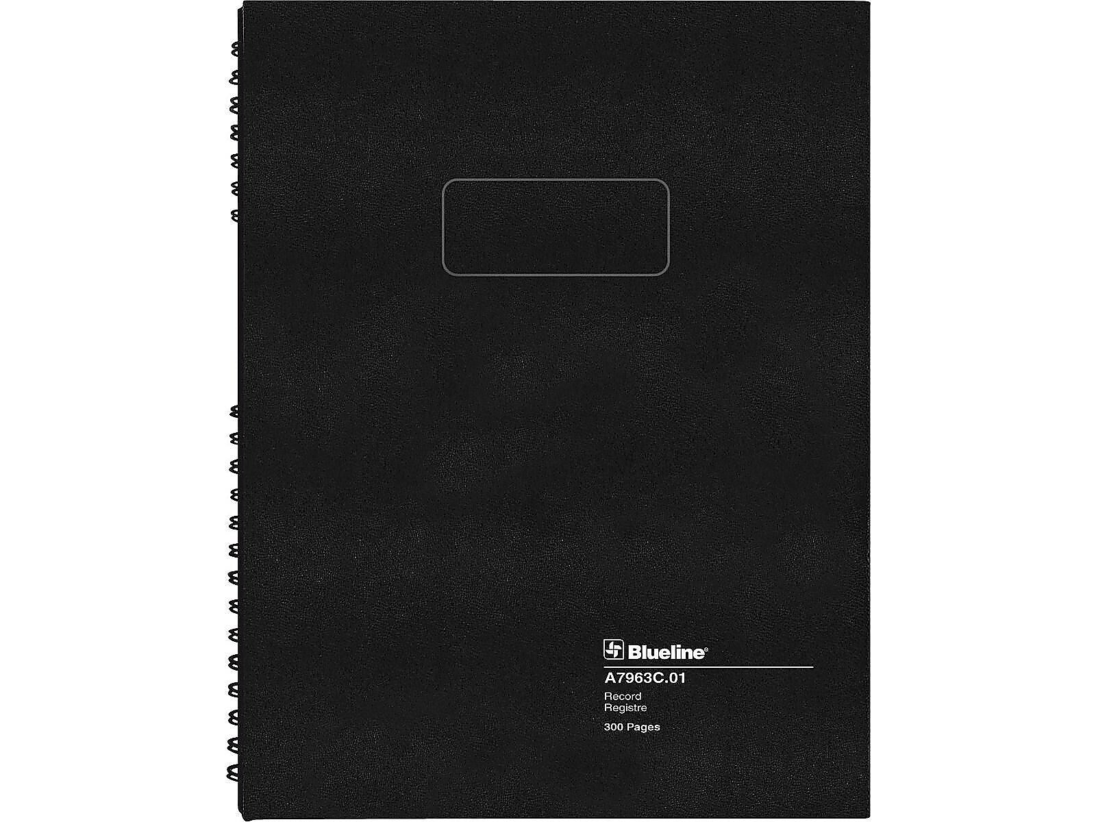 Blueline AccountPro Record Book, 7.69