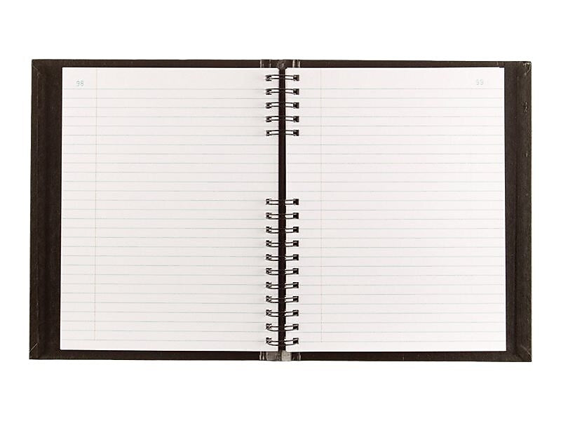 Blueline AccountPro Record Book, 7.69
