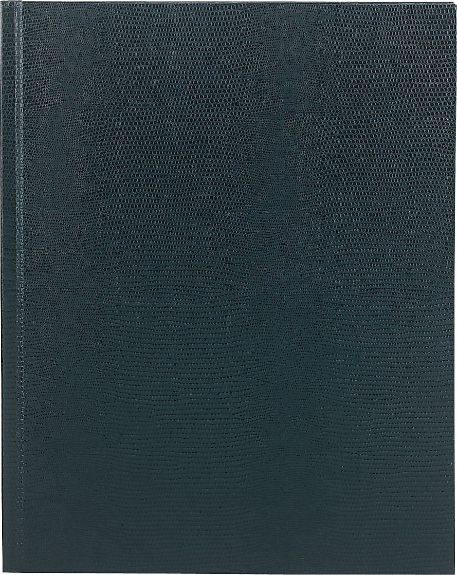 Blueline Executive and Journals 1-Subject Professional Notebooks, 8.5