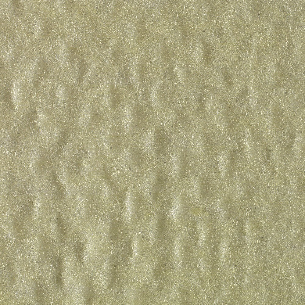 Brawny Professional Dusting Cloths, 24