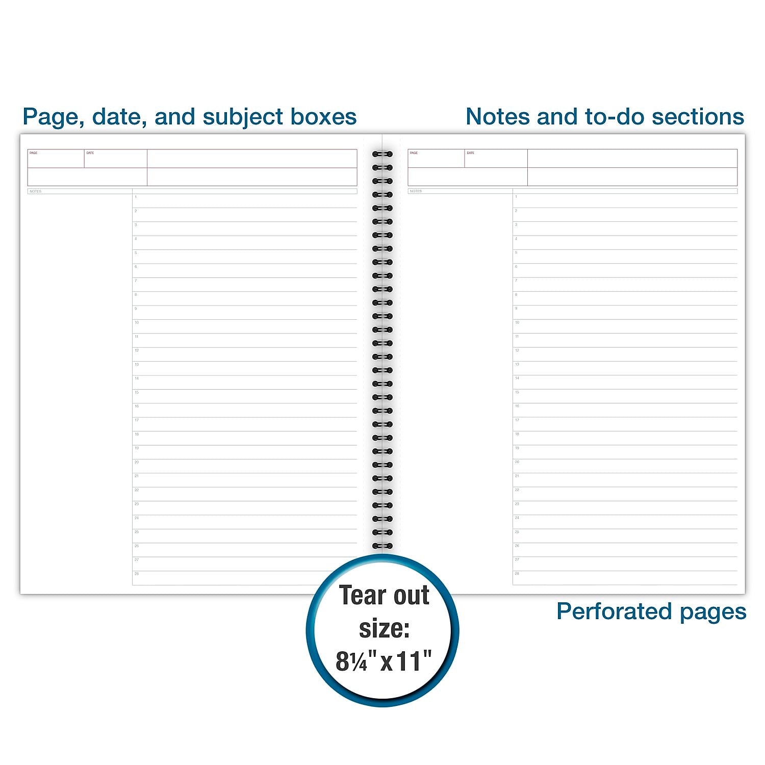 Cambridge 1-Subject Professional Notebooks, 8.5