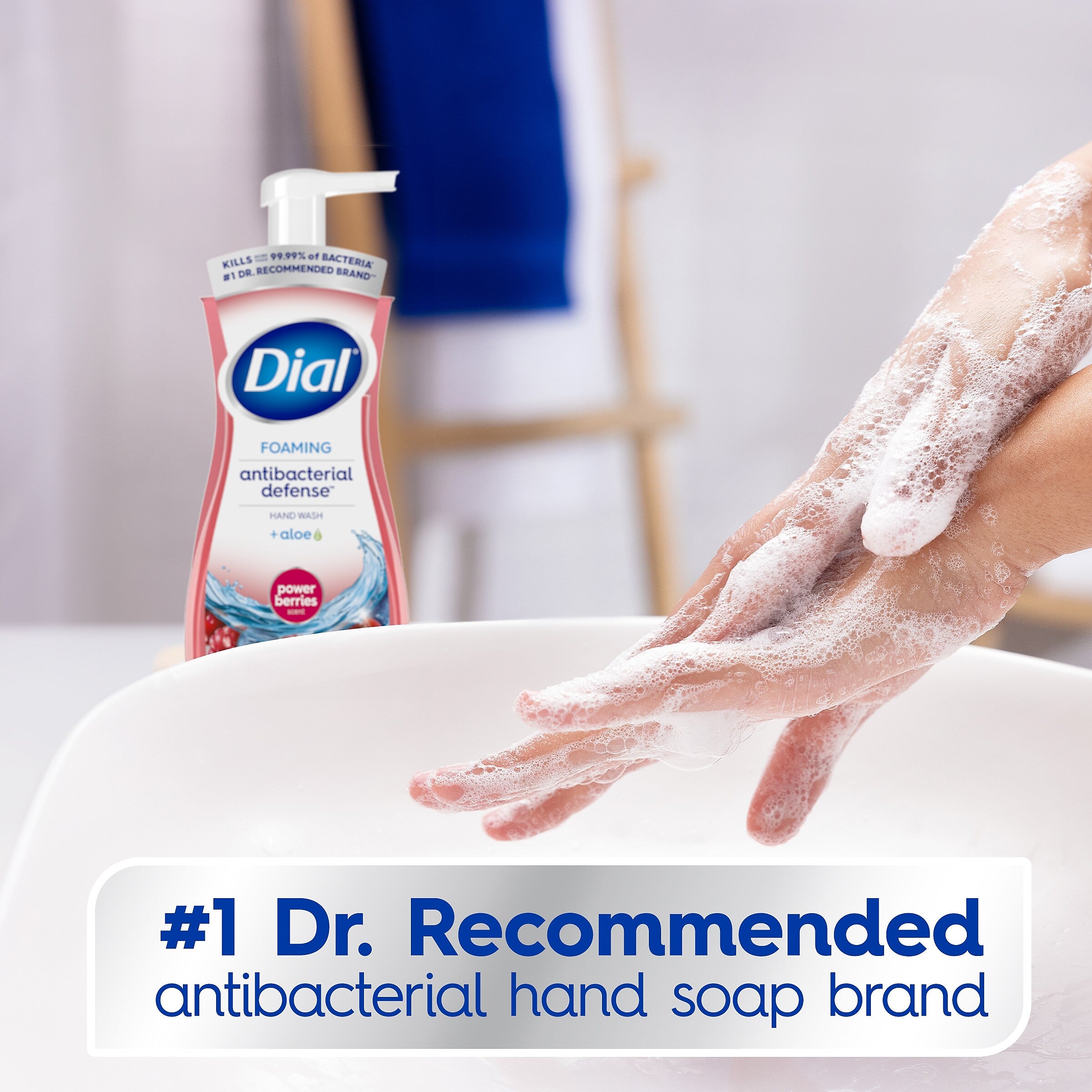 Dial Complete Antibacterial Foaming Hand Soap, Power Berries, 7.5 Oz.