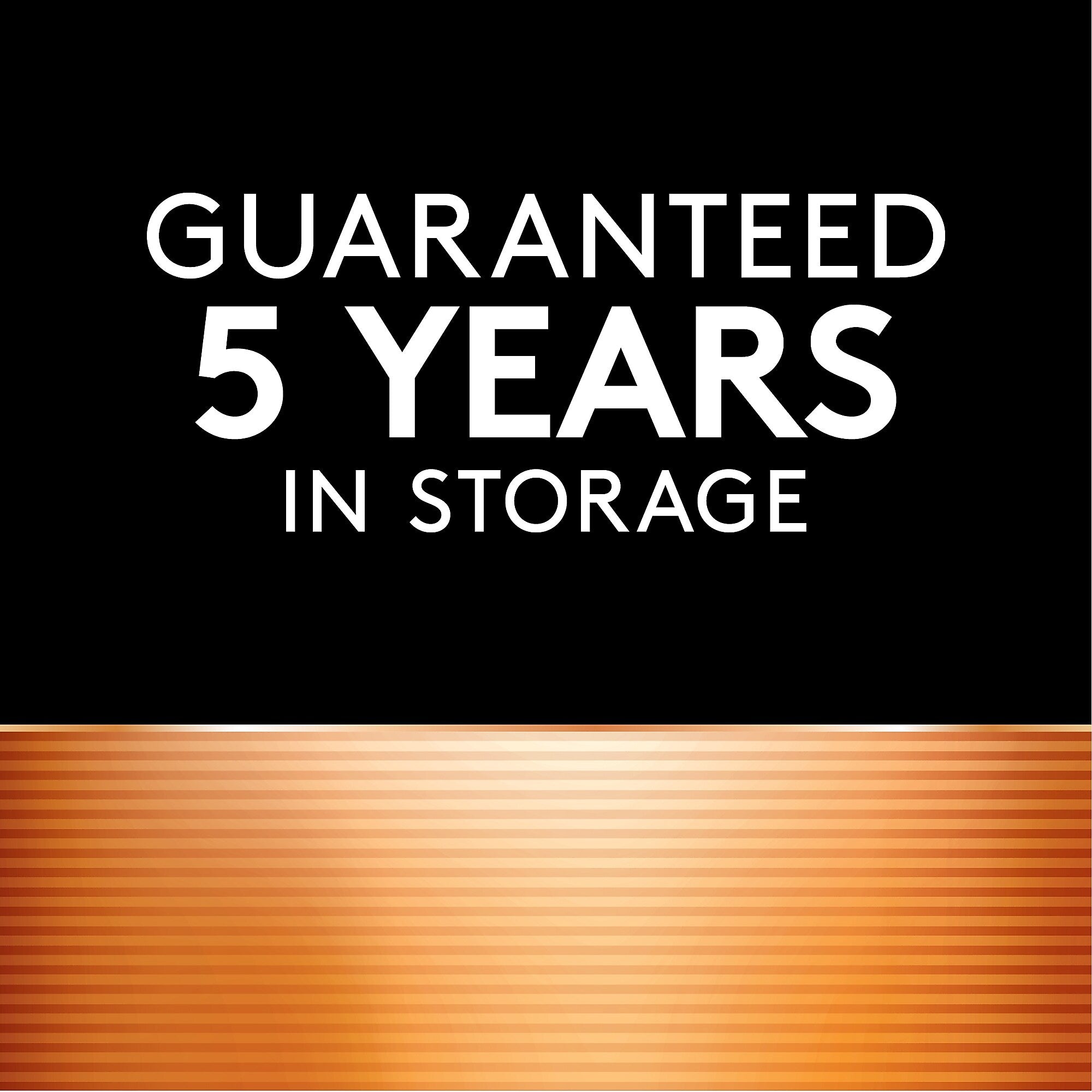 Duracell 76A Alkaline Battery