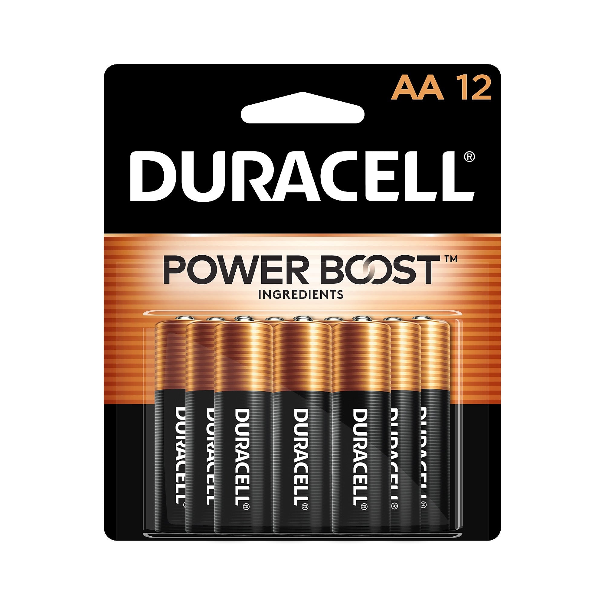 Duracell Coppertop AA Alkaline Battery, 12/Pack