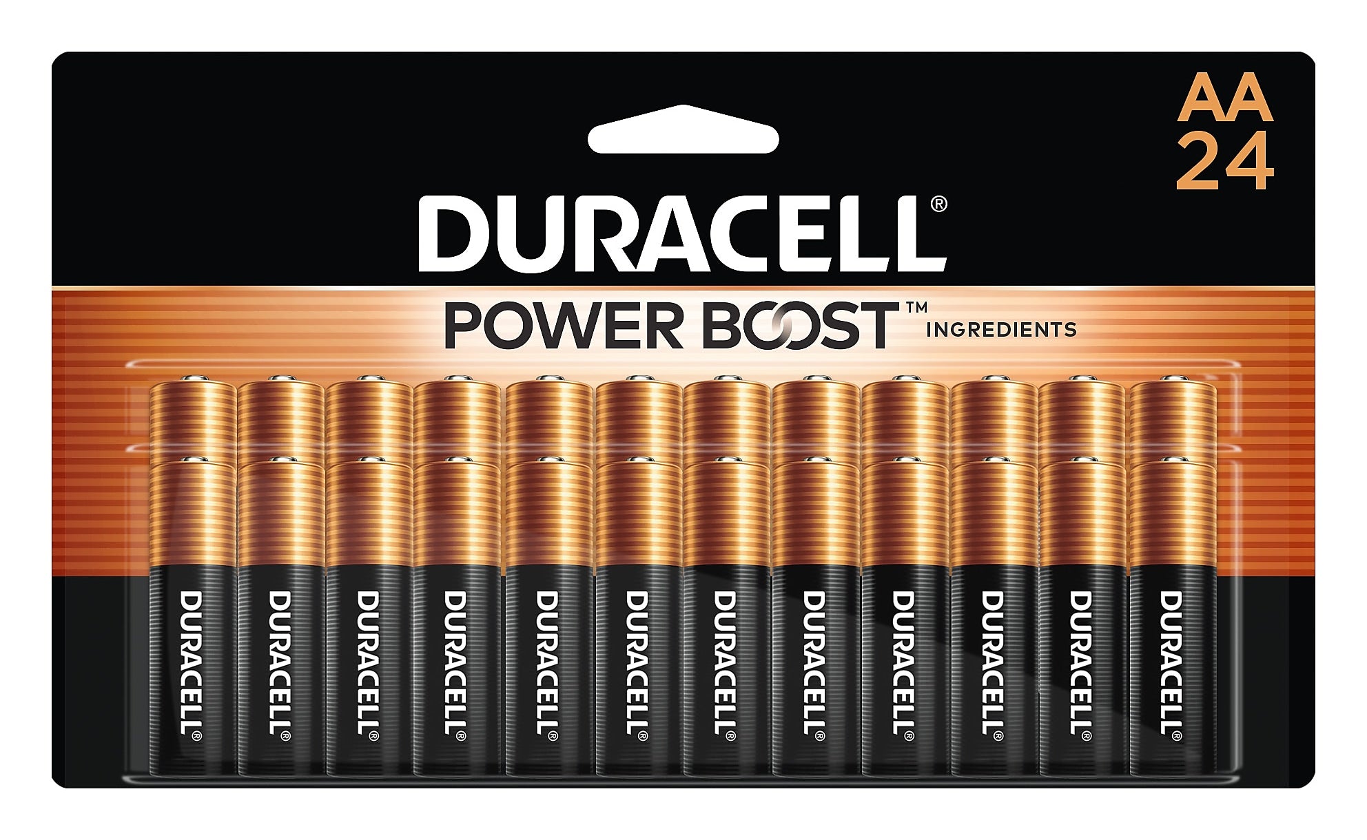 Duracell Coppertop AA Alkaline Battery, 24/Pack