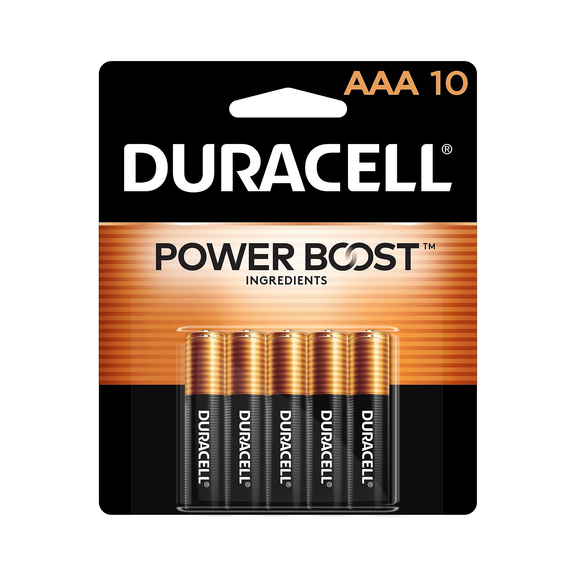 Duracell Coppertop AAA Alkaline Battery, 10/Pack