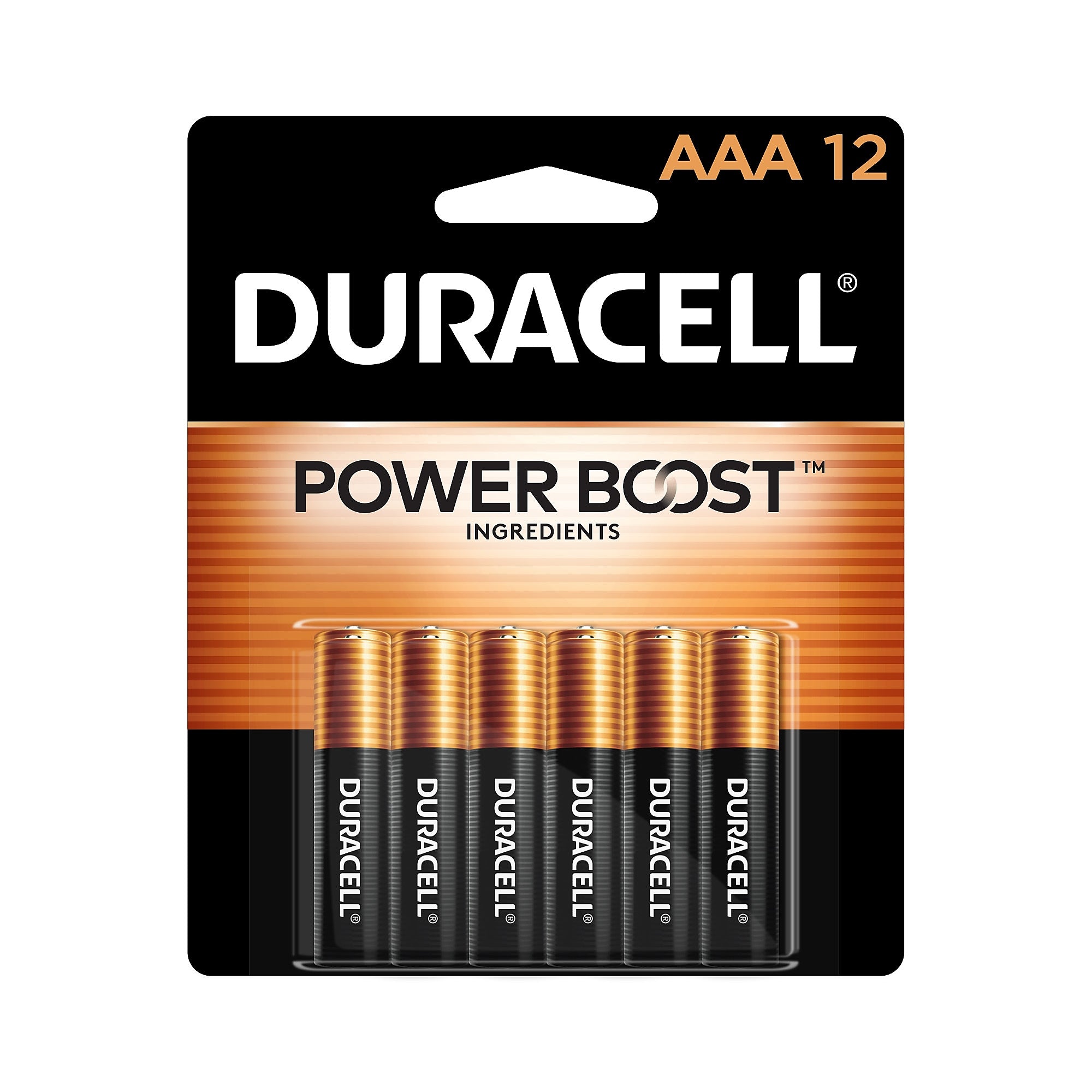 Duracell Coppertop AAA Alkaline Battery, 12/Pack
